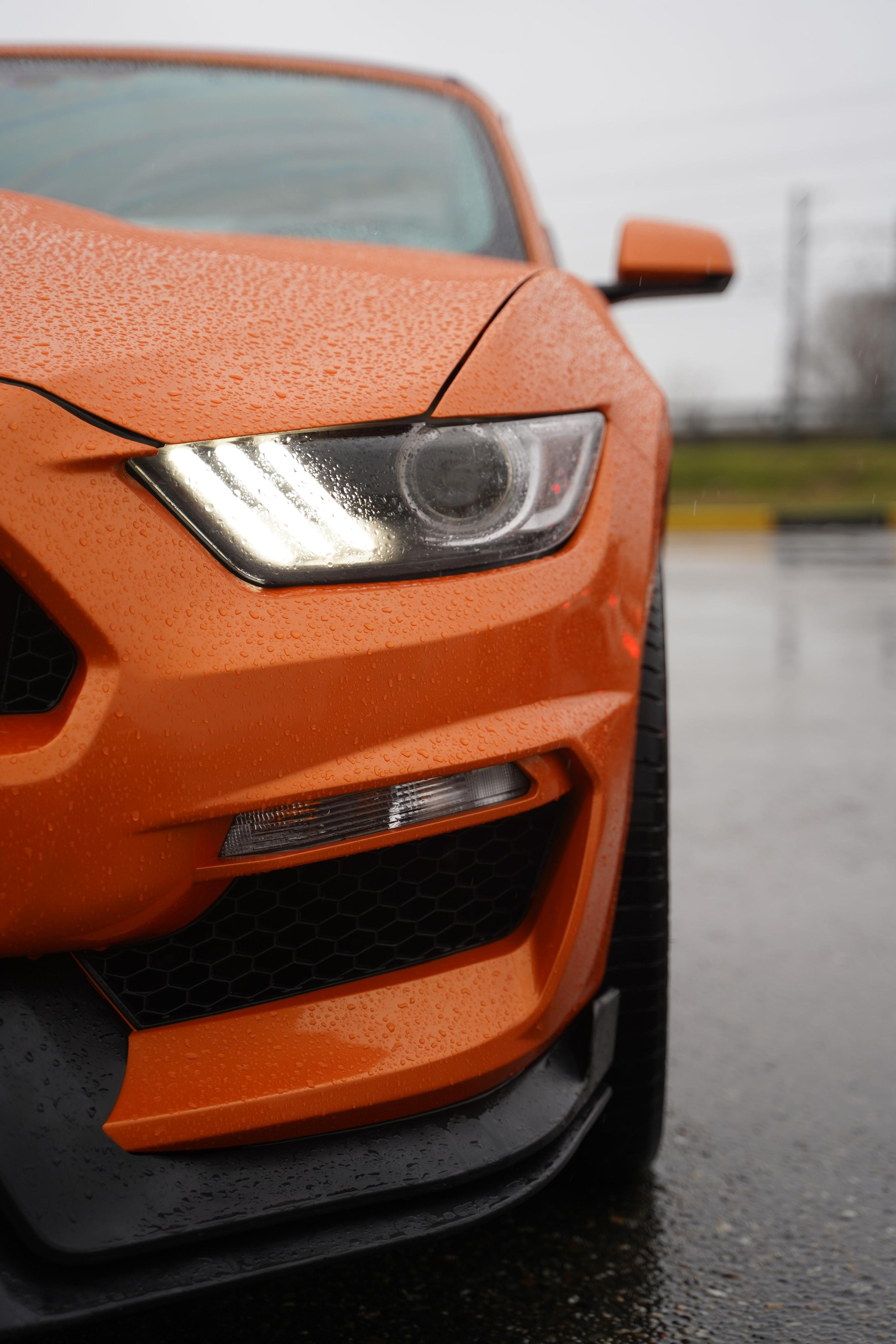 Бизнес уикенд в Сочи. Фотограф Антон Никитин