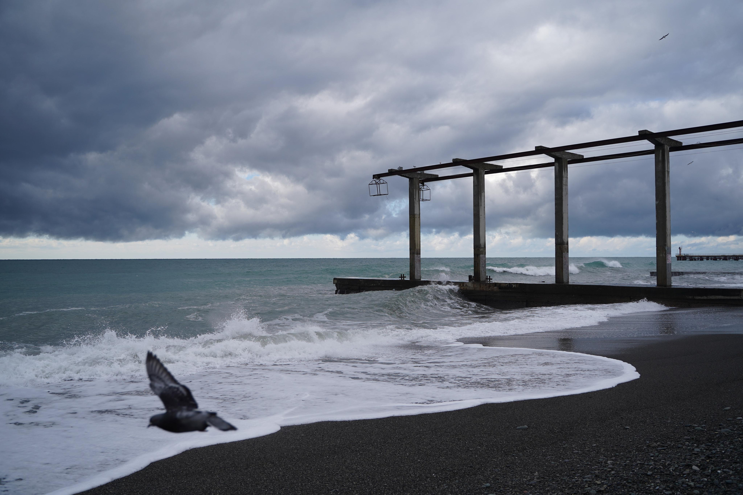 Бизнес уикенд в Сочи. Фотограф Антон Никитин
