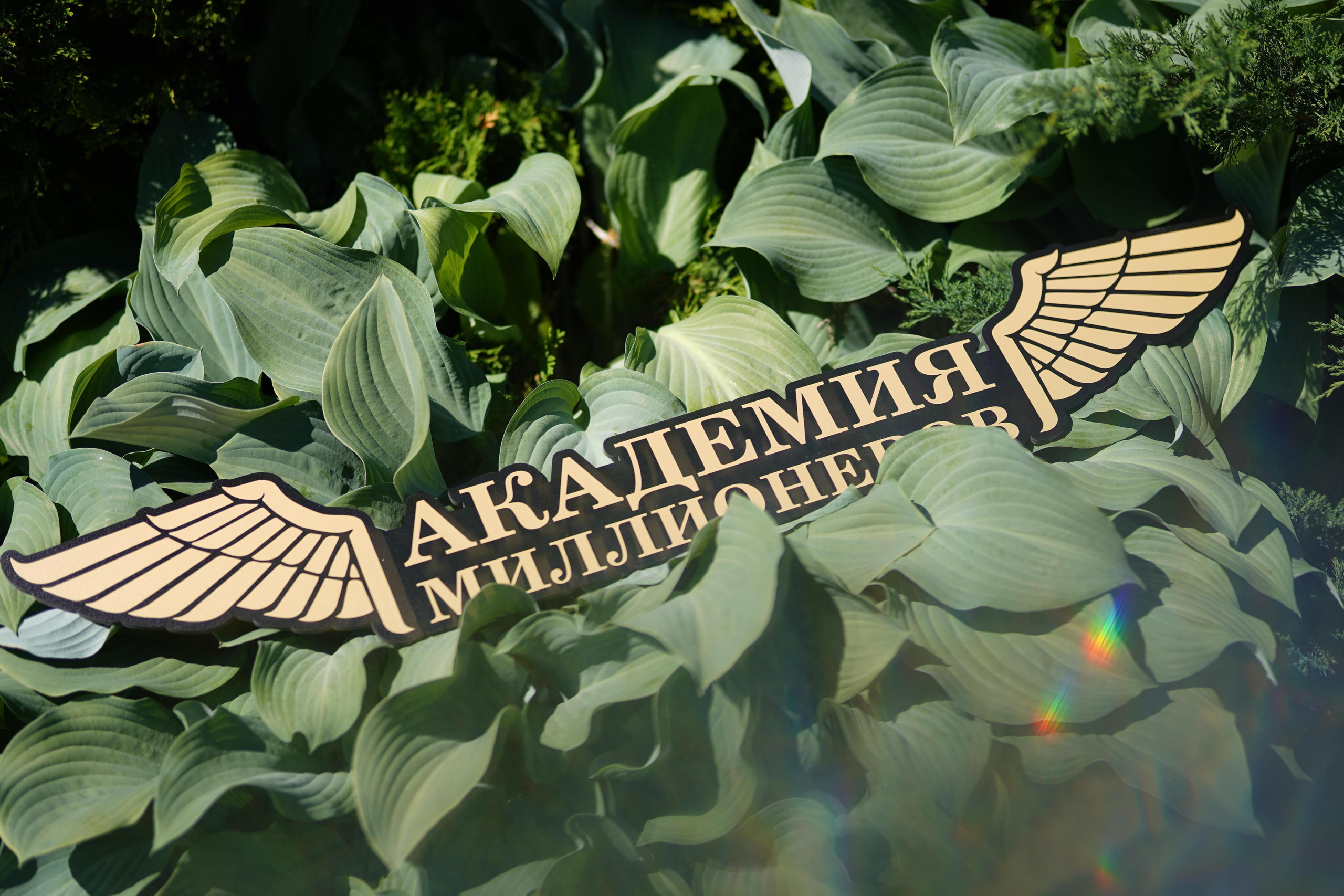 Dzotty Wedding 2.0. Фотограф Антон Никитин