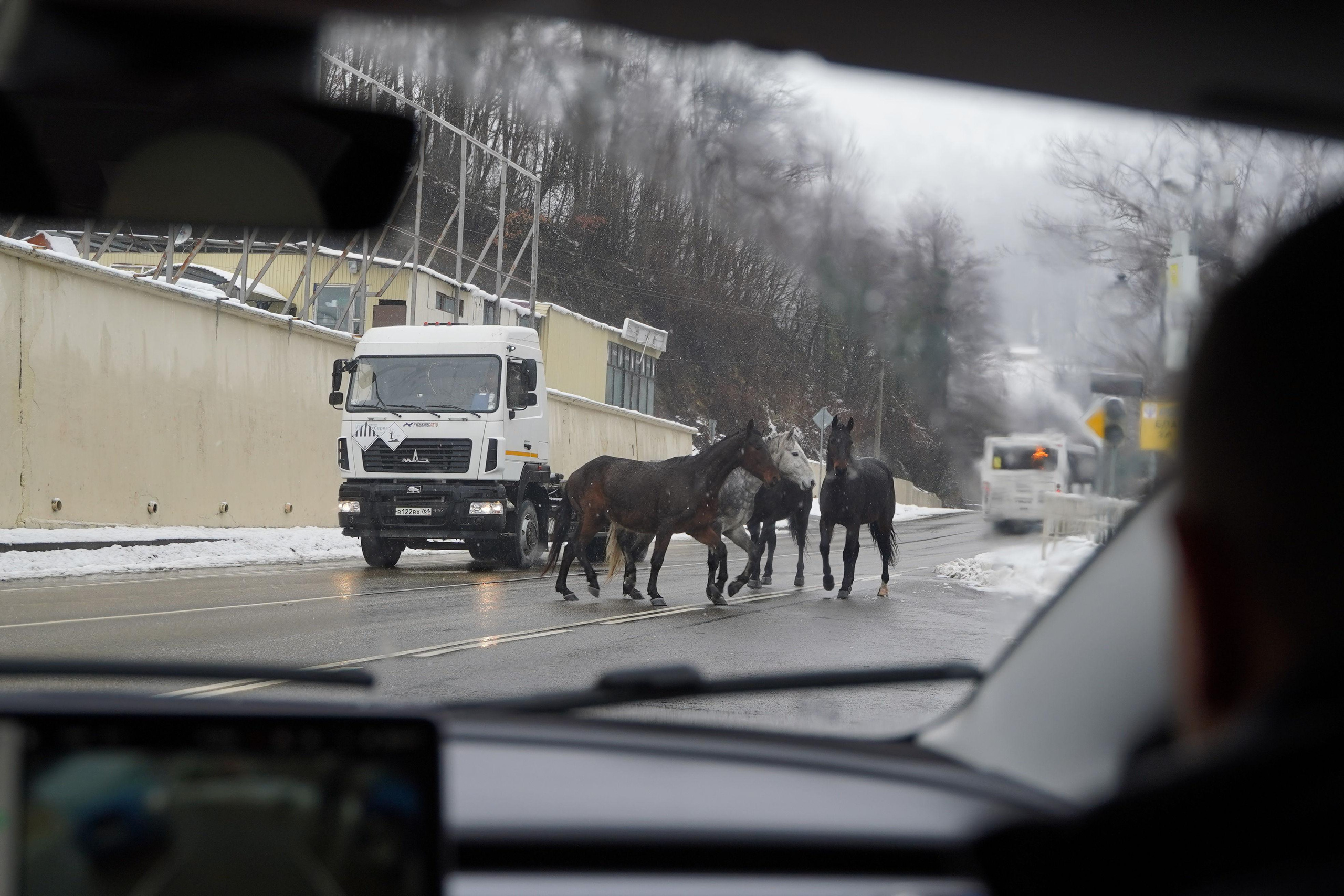 Бизнес уикенд в Сочи. Фотограф Антон Никитин