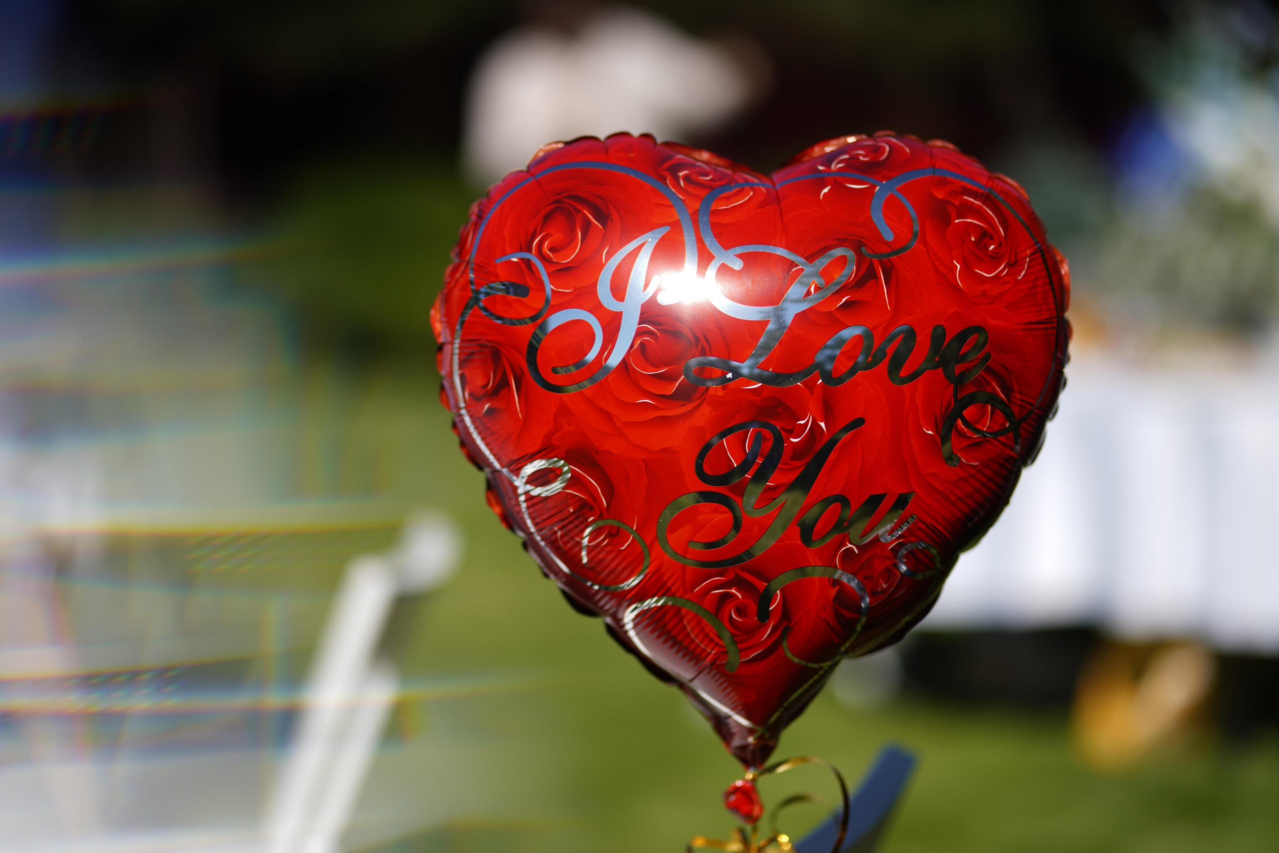 Dzotty Wedding 2.0. Фотограф Антон Никитин