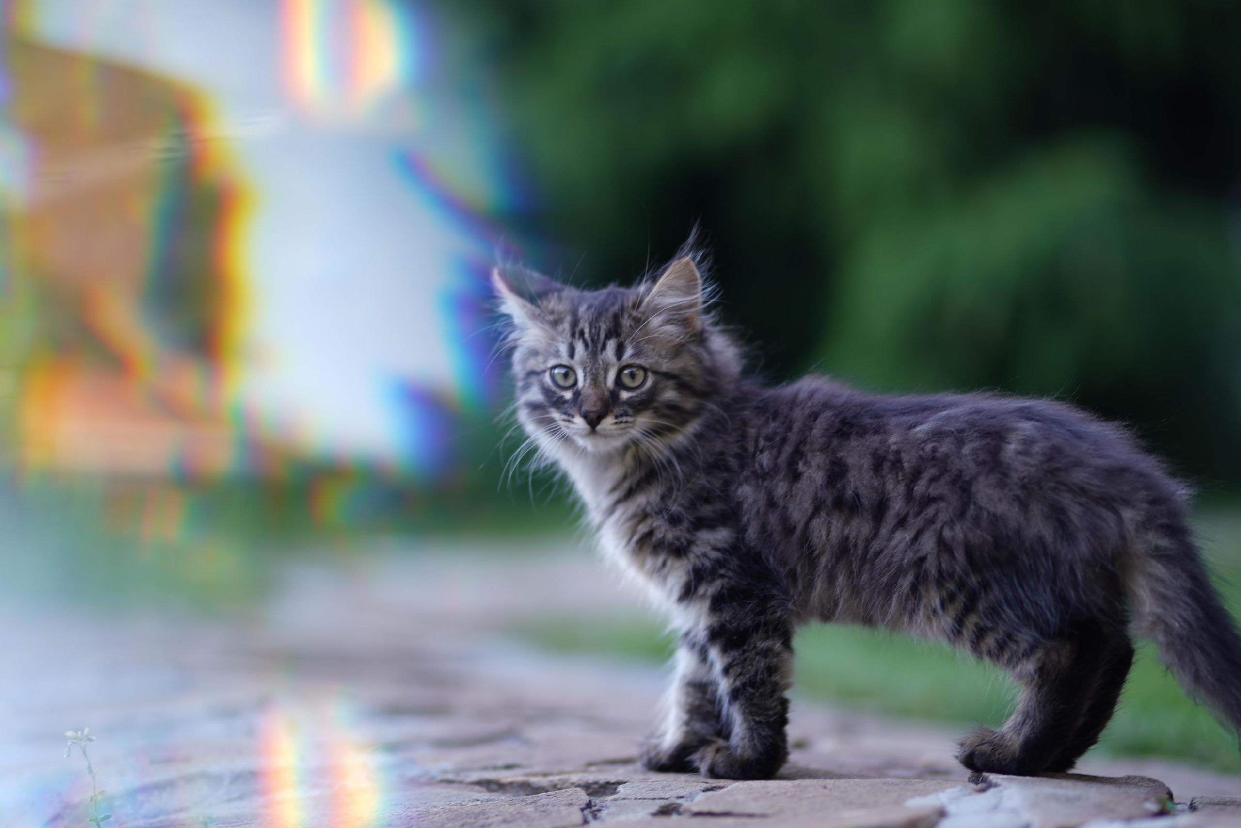 Dzotty Wedding 2.0. Фотограф Антон Никитин