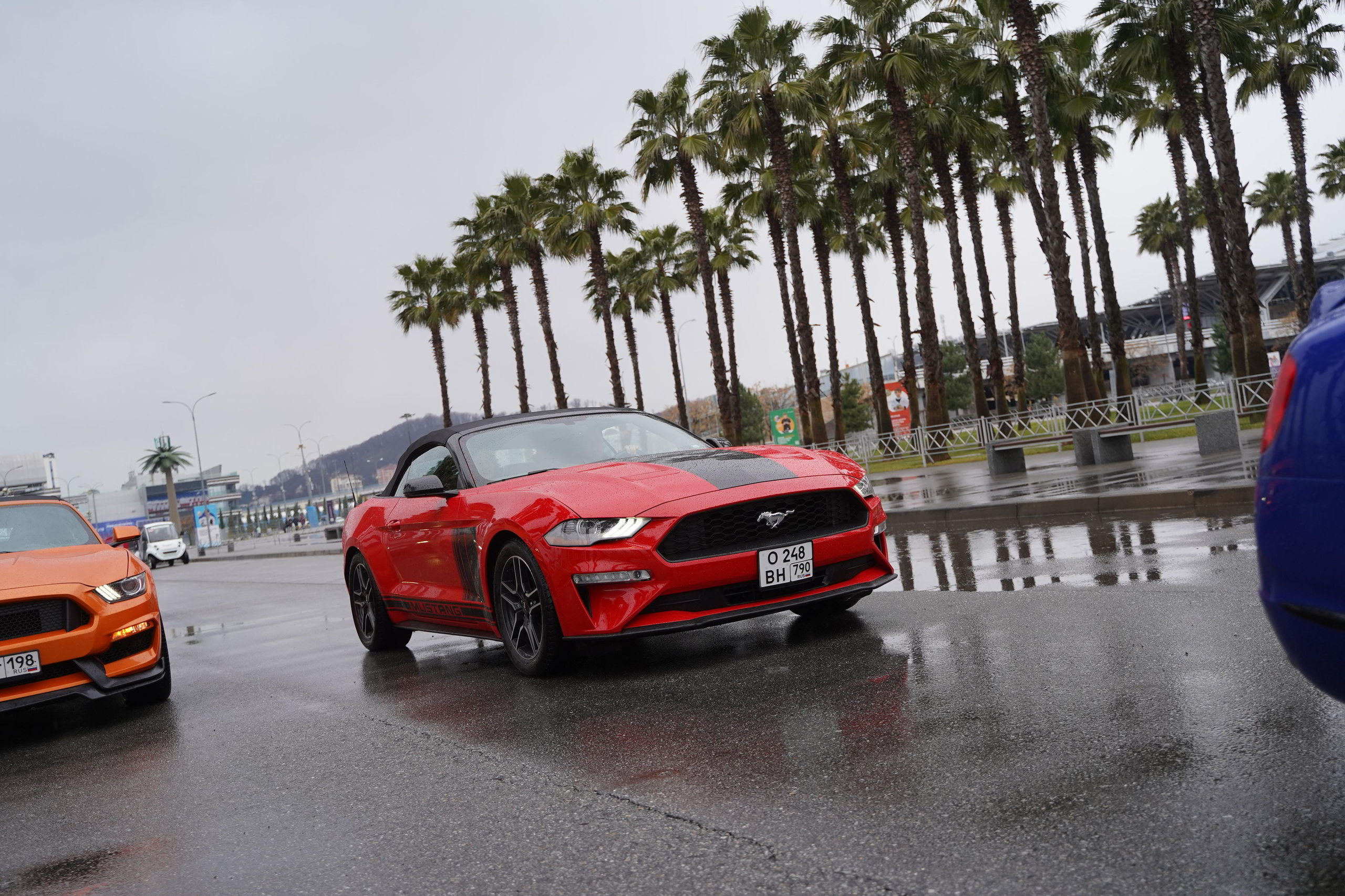 Бизнес уикенд в Сочи. Фотограф Антон Никитин