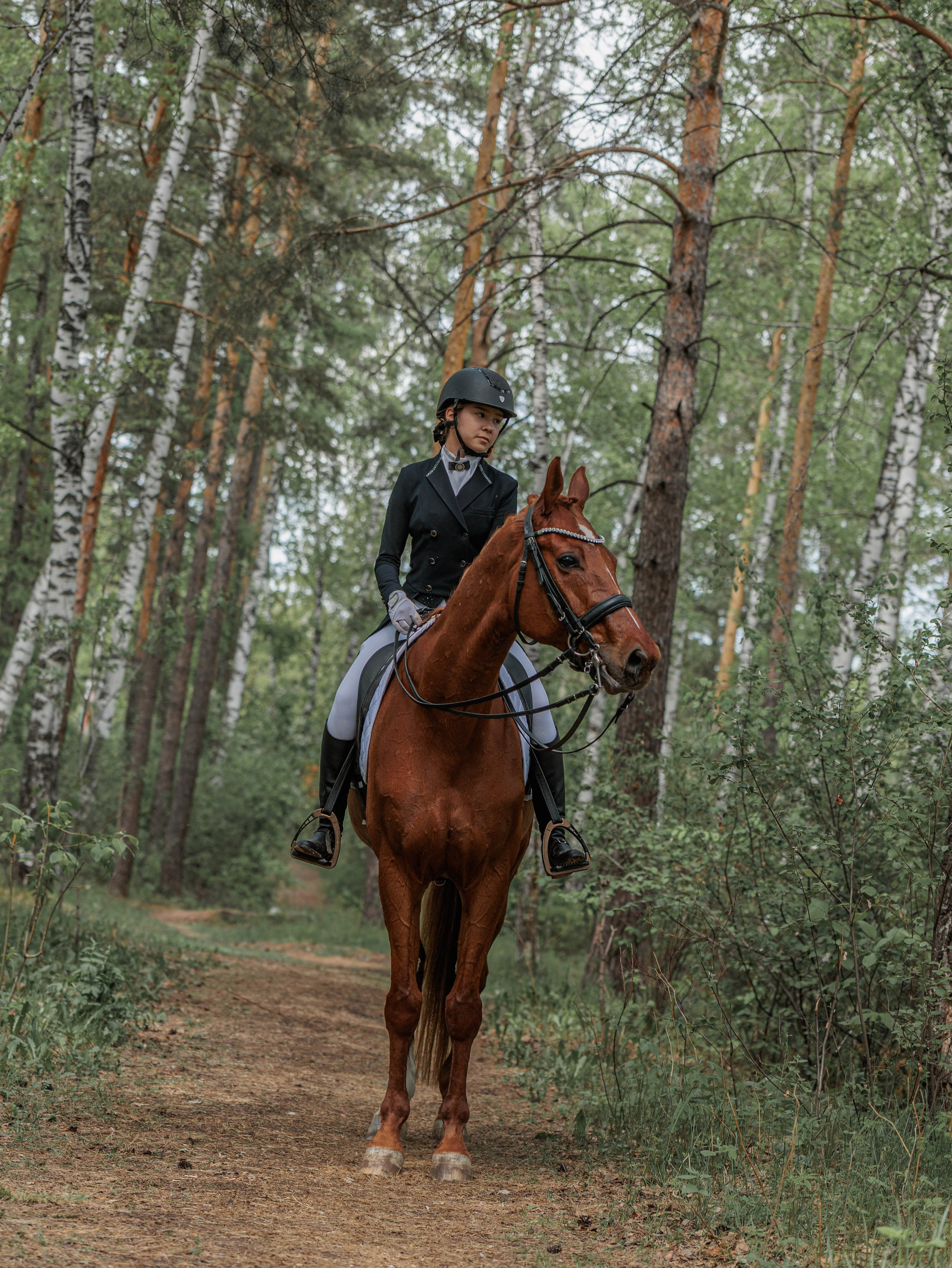 2025. Конный фотограф в Красноярске — Любовь Похабова