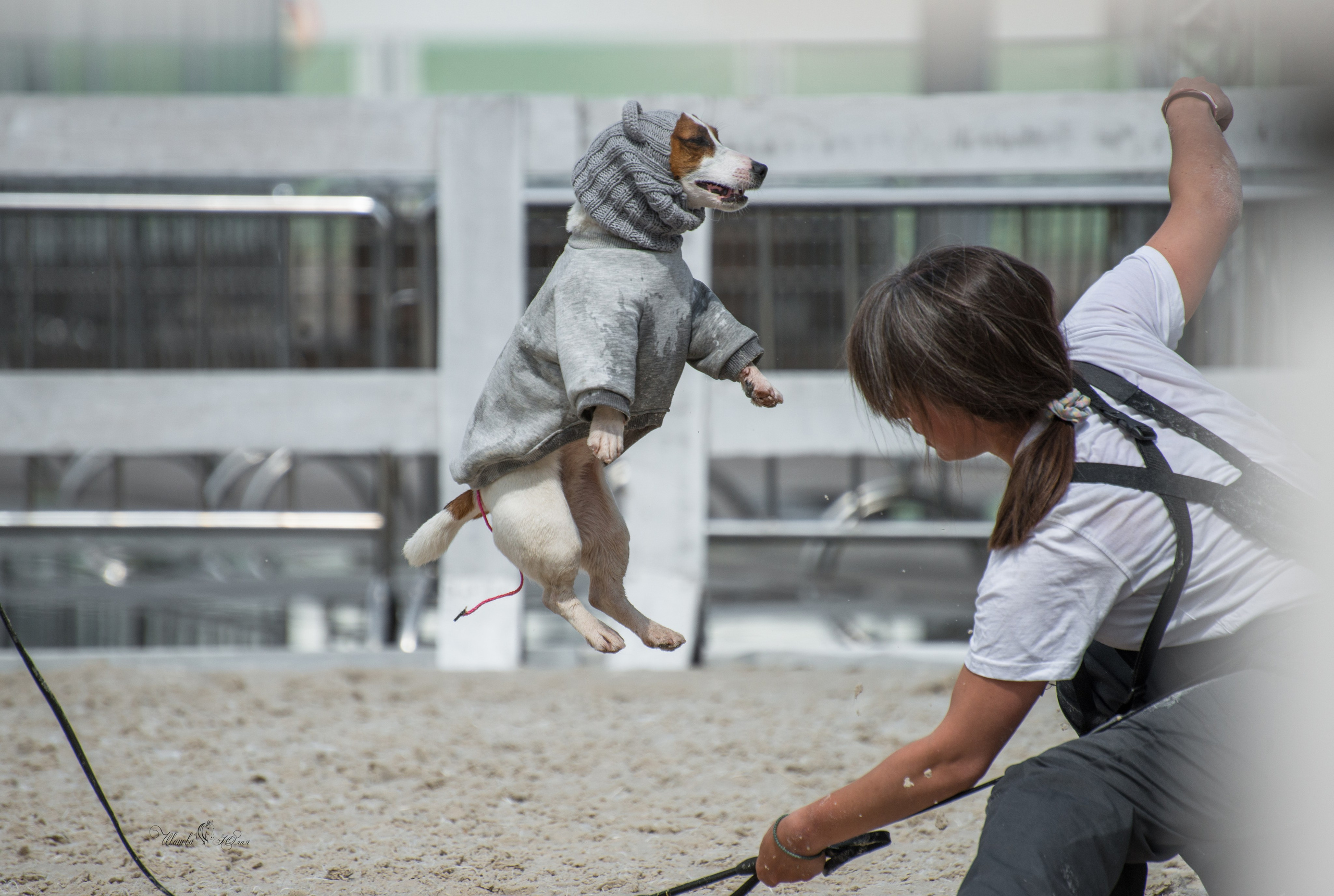 Эквирос, Москва. Конный фотограф в Саратове Юлия Иванова