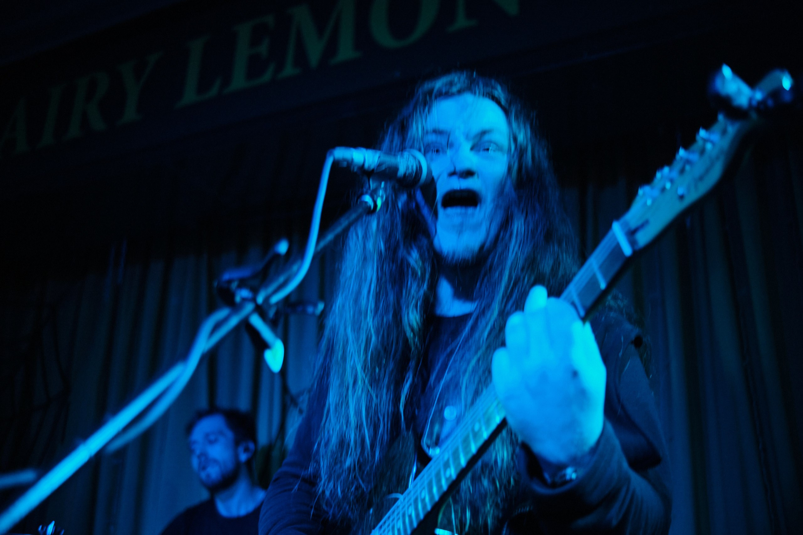 Hairy Lemon. Антон Ив