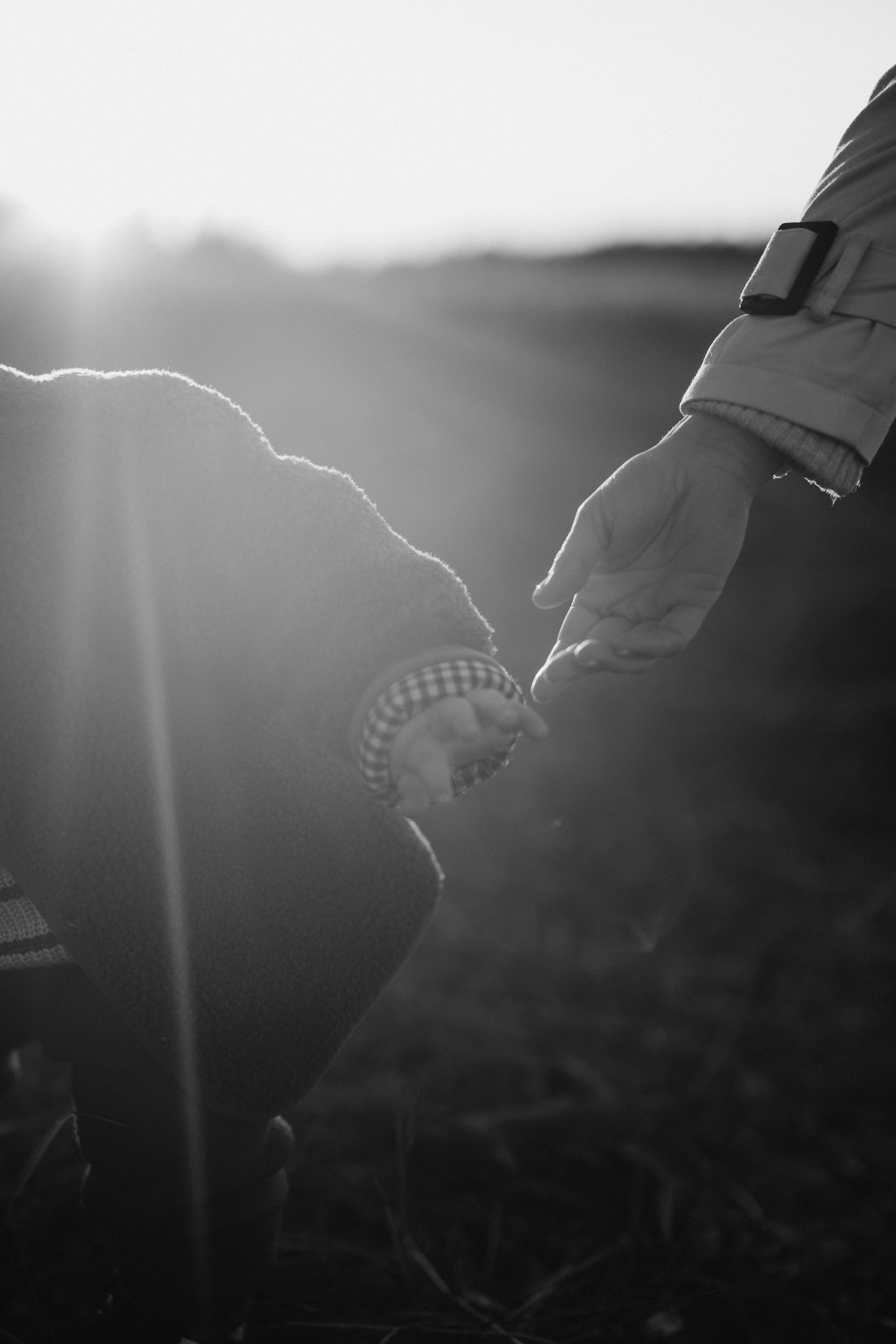 На закате. Евгения Пелипас