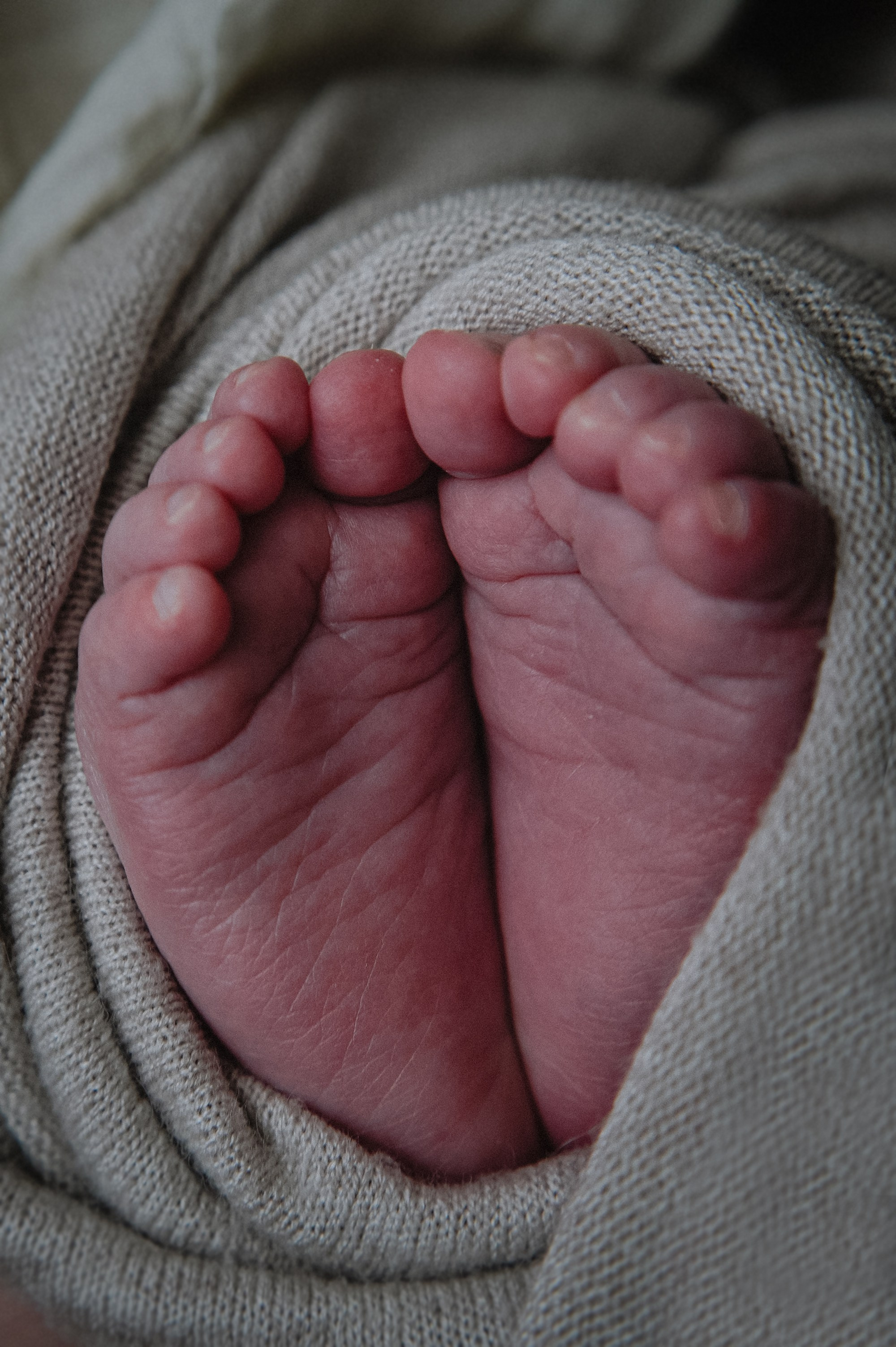 Давид. 04.02.2026. Фотограф СЕМЬИ и ДЕТСТВА в Краснодаре и Краснодарском крае Екатерина Москат