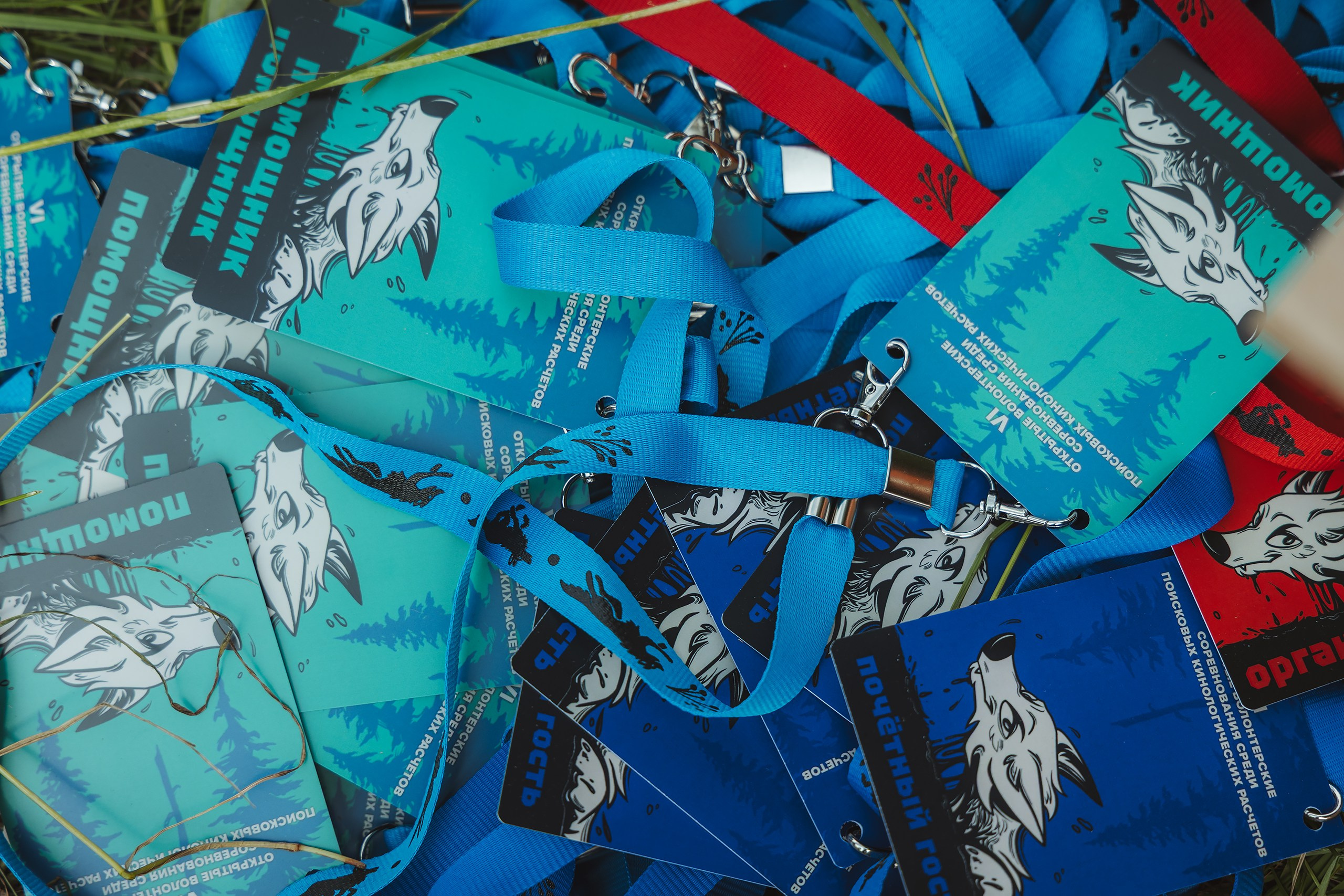 VI открытые волонтёрские соревнования среди поисковых кинологических расчётов. Фотограф Ирина Астор