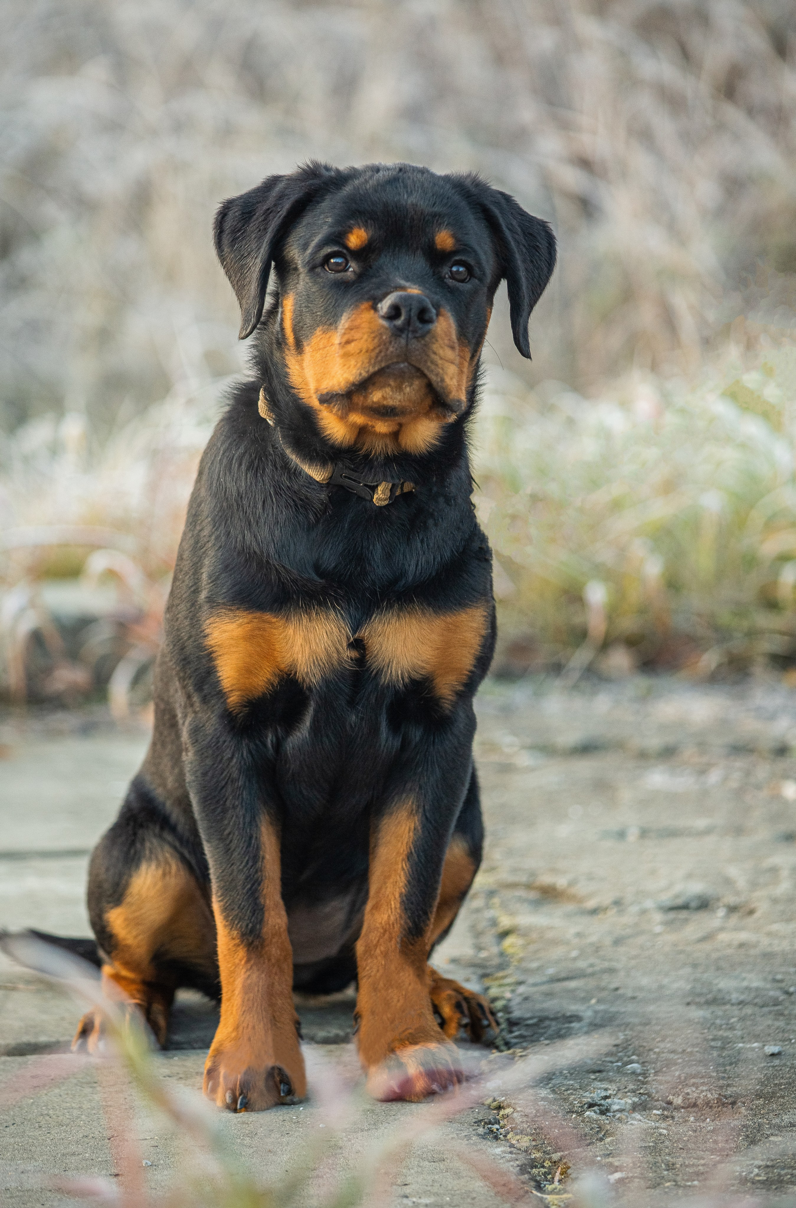 Животные. Авторские туры с профессиональным фотографом