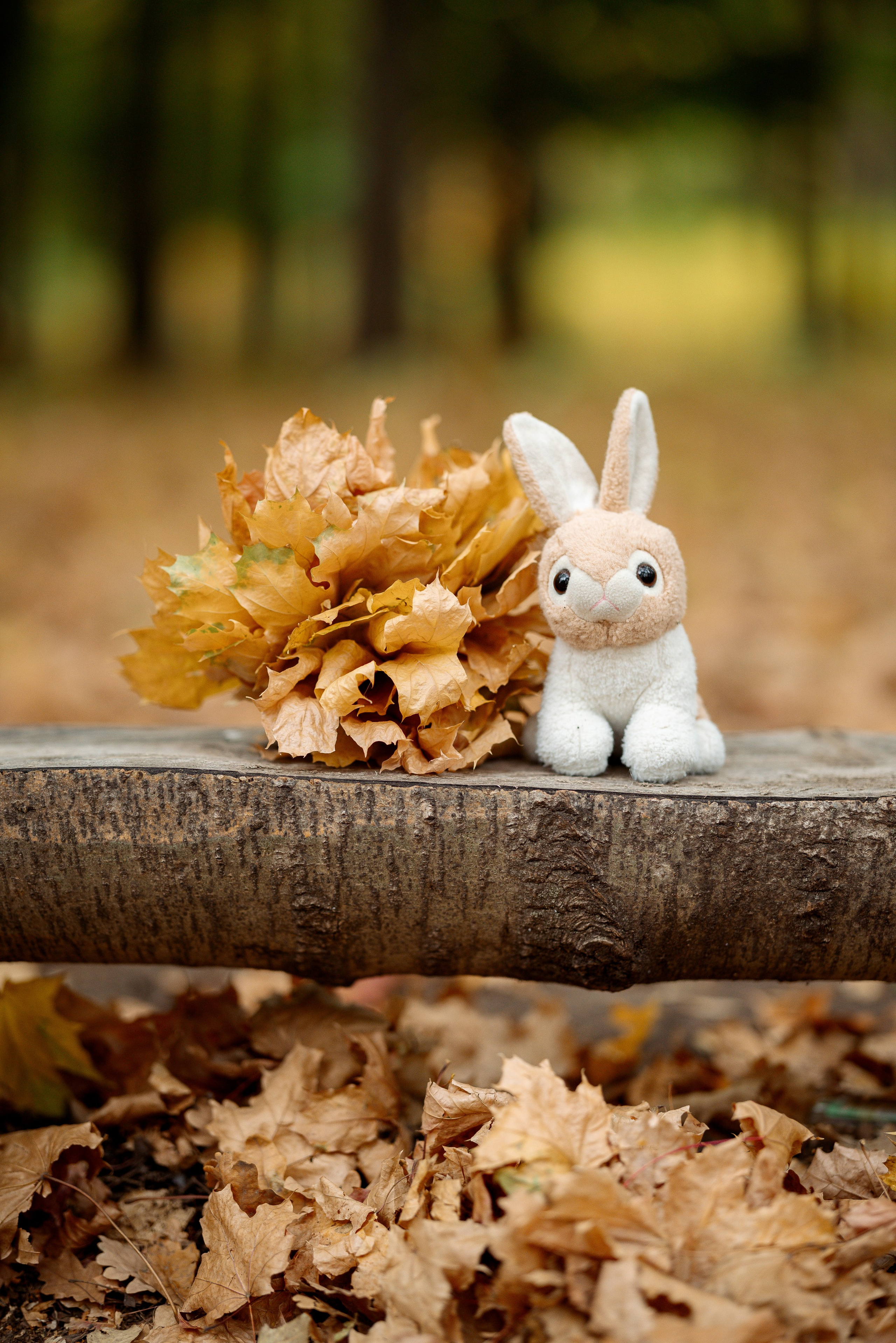 Семейная фотосессия в парке. Фотограф Липецк, Наташа Бурдачева