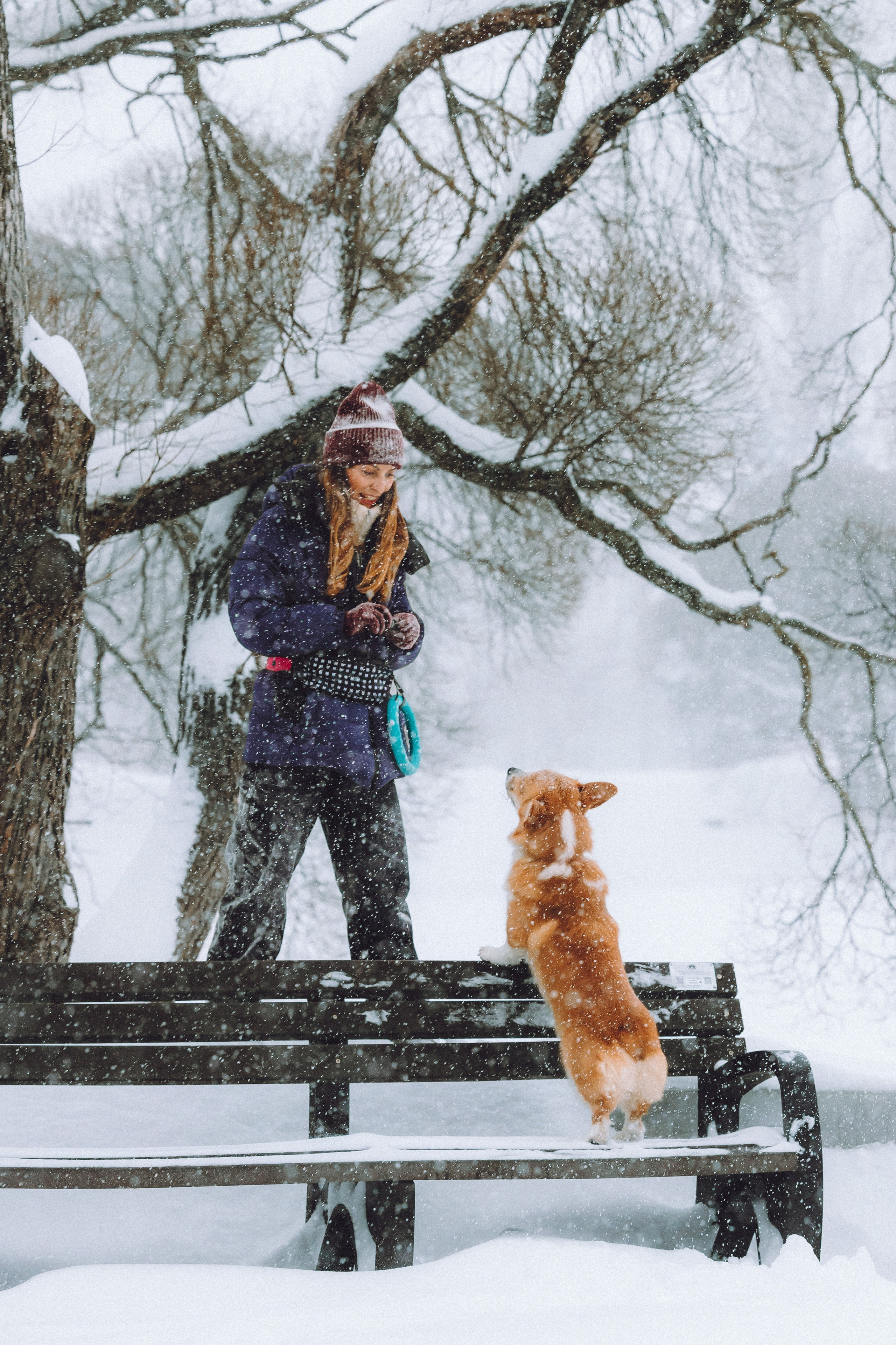 Юля и Юпитер