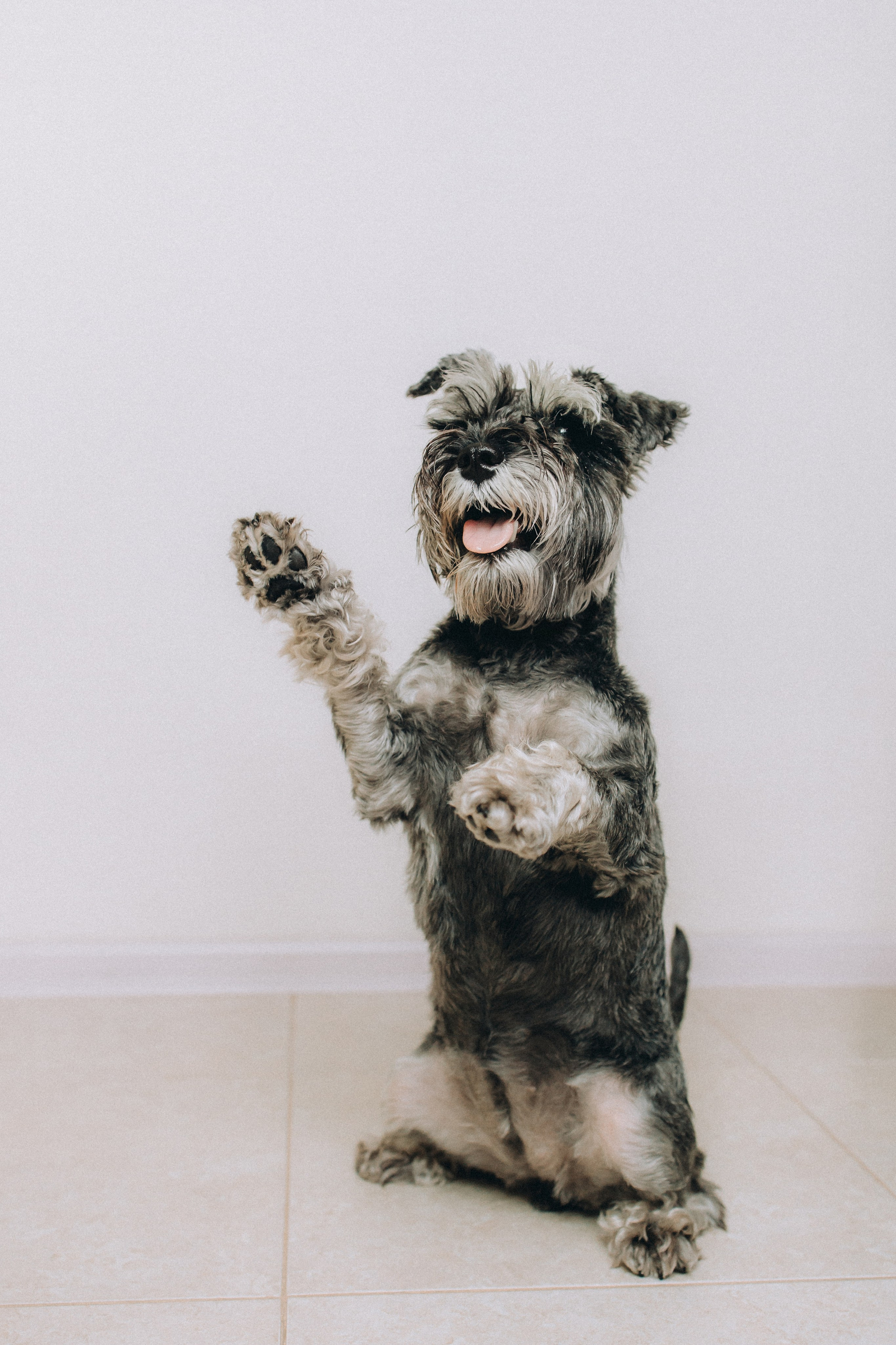 Лена и Зефир