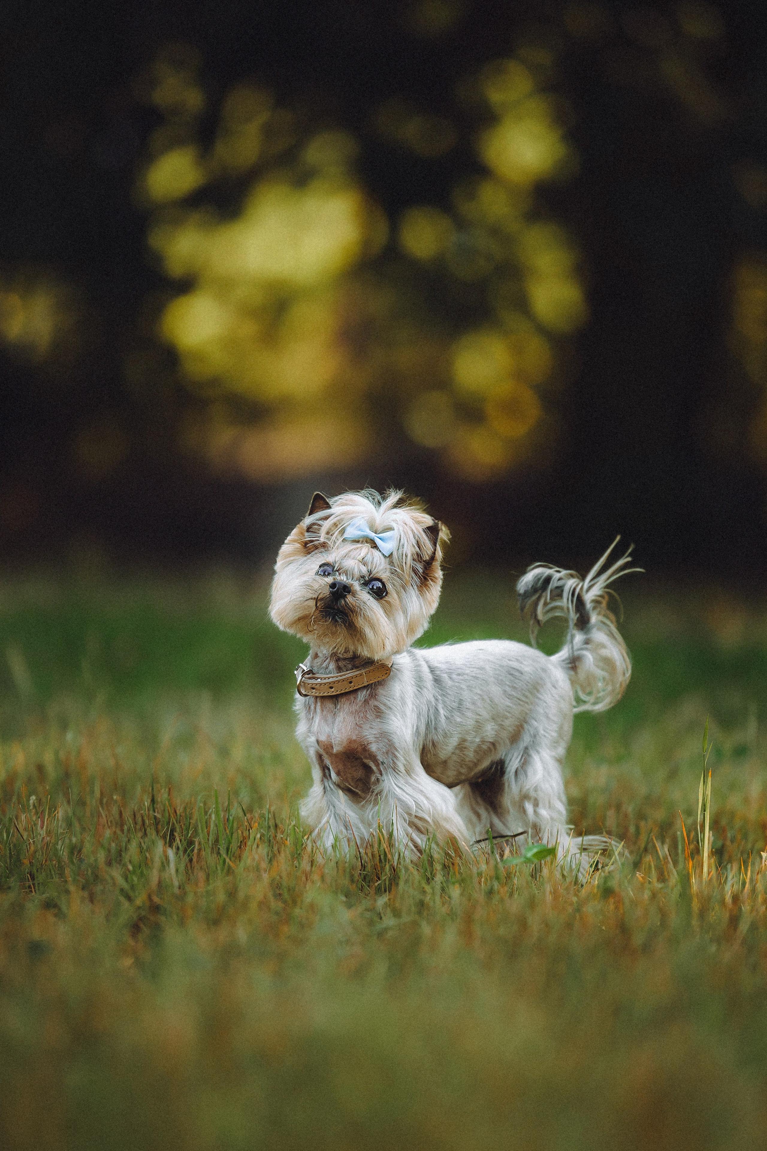 Дженни, Оливия и их семья