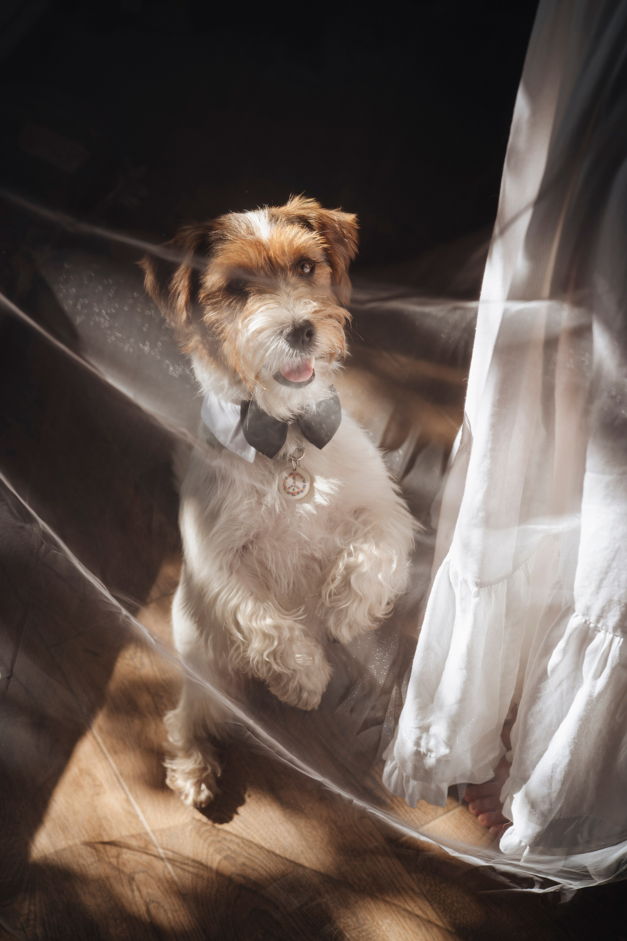 Nelly & Alexandr. Фотограф в Москве Людмила Денисенко