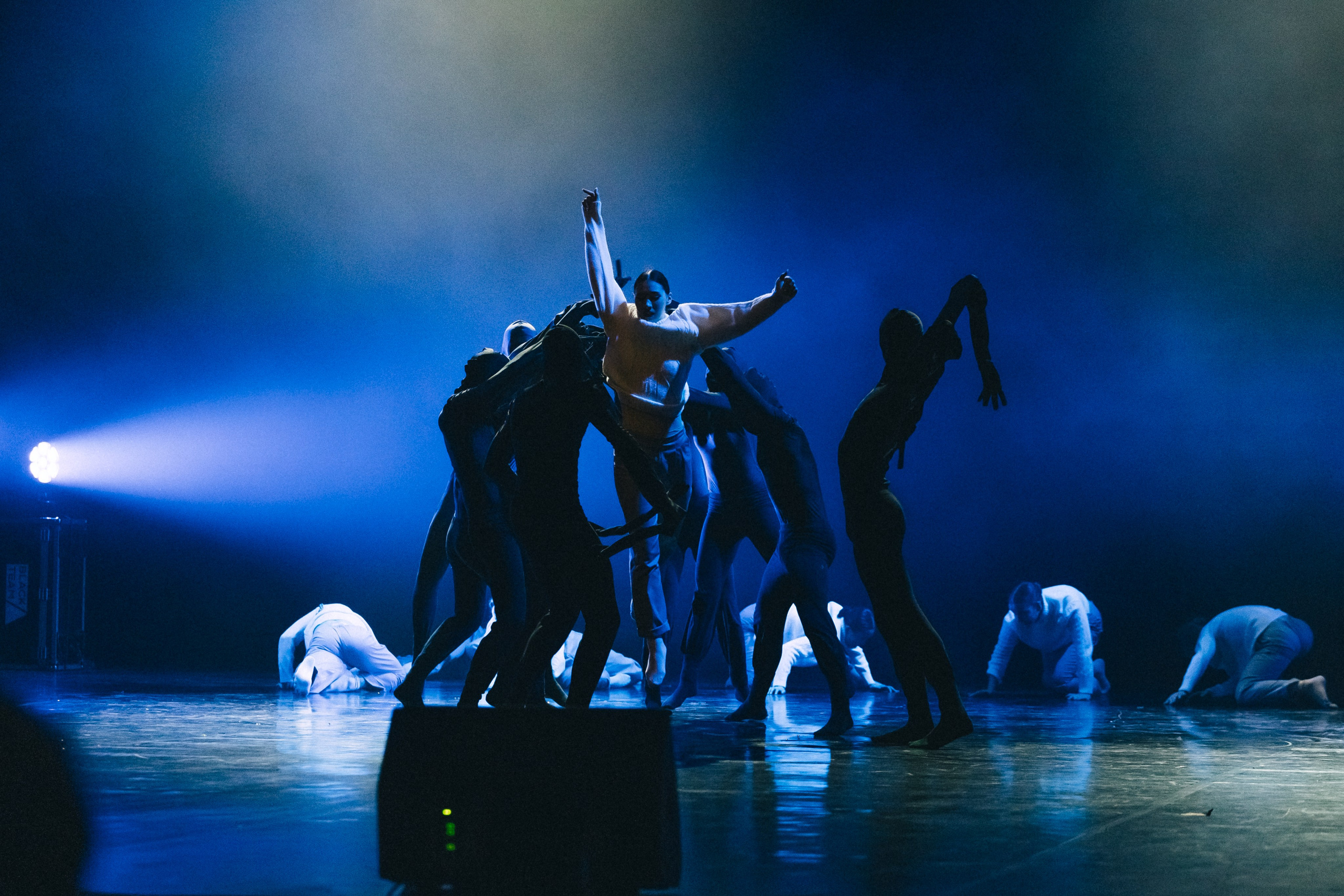 Отчётный концерт (КемГИК). Фотограф Кемерово | Сергей