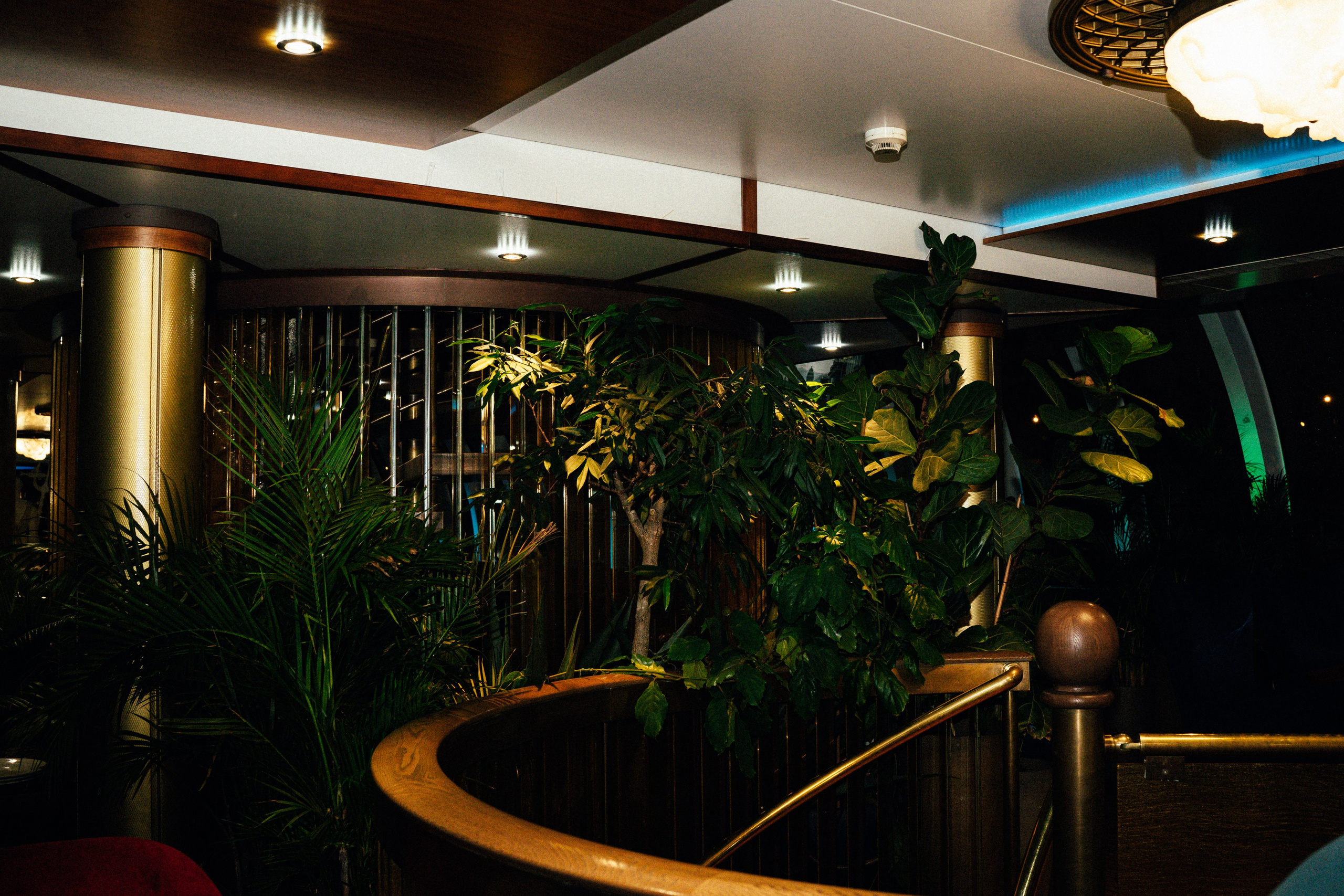 Корпоратив Erwin Река. Портретный и репортажный фотограф