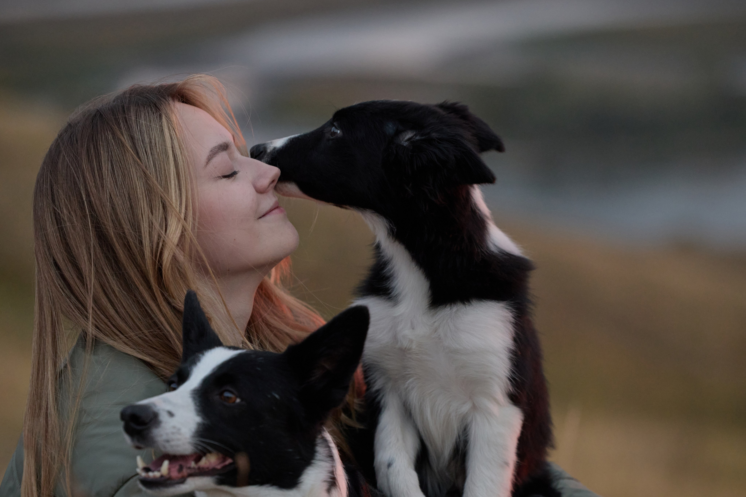Аделя и ее хвостики. Фотограф анималист в Казани Алина Сулейманова. Фотограф животных