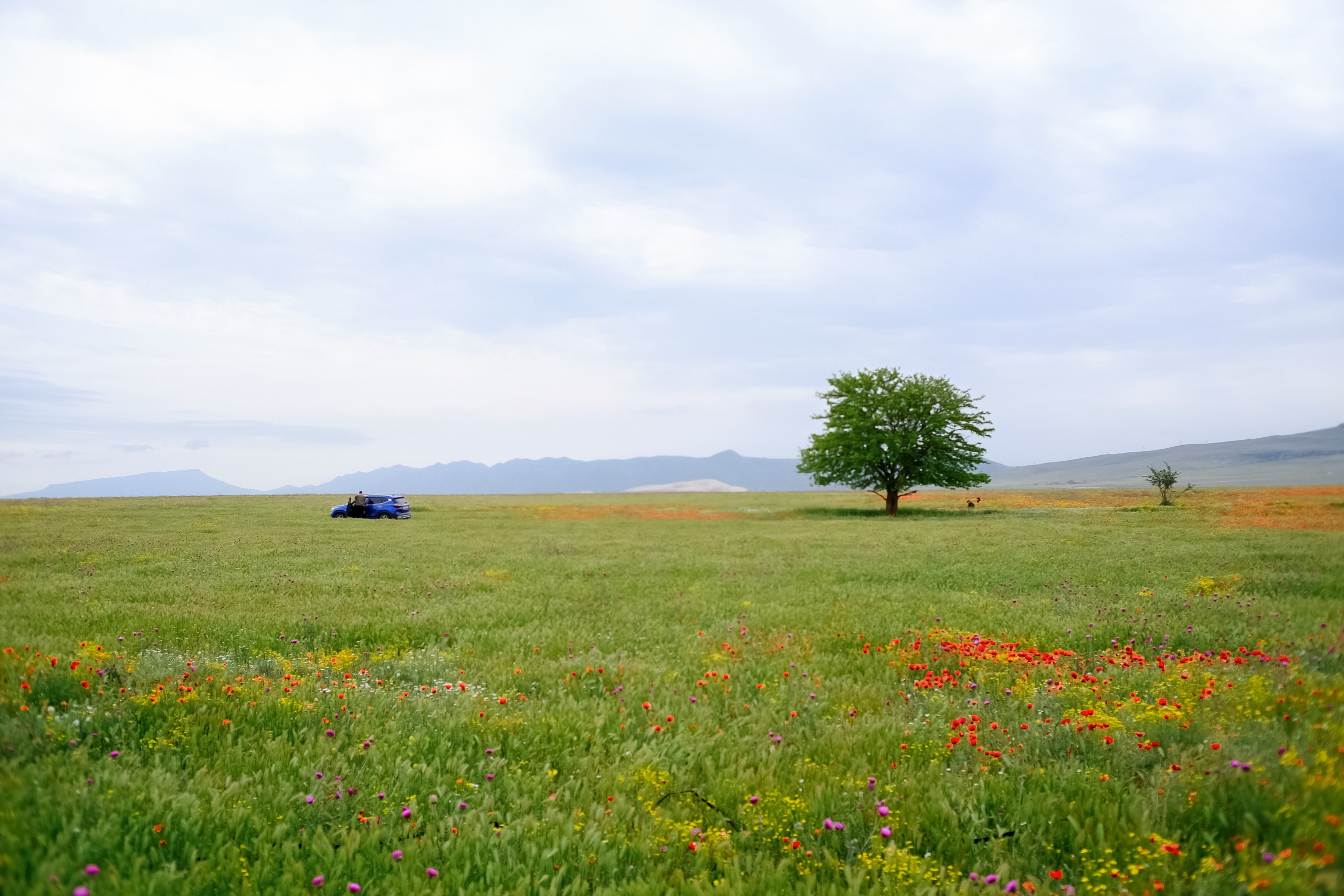 Поездки по России. Трандин Иван Фотограф СПб