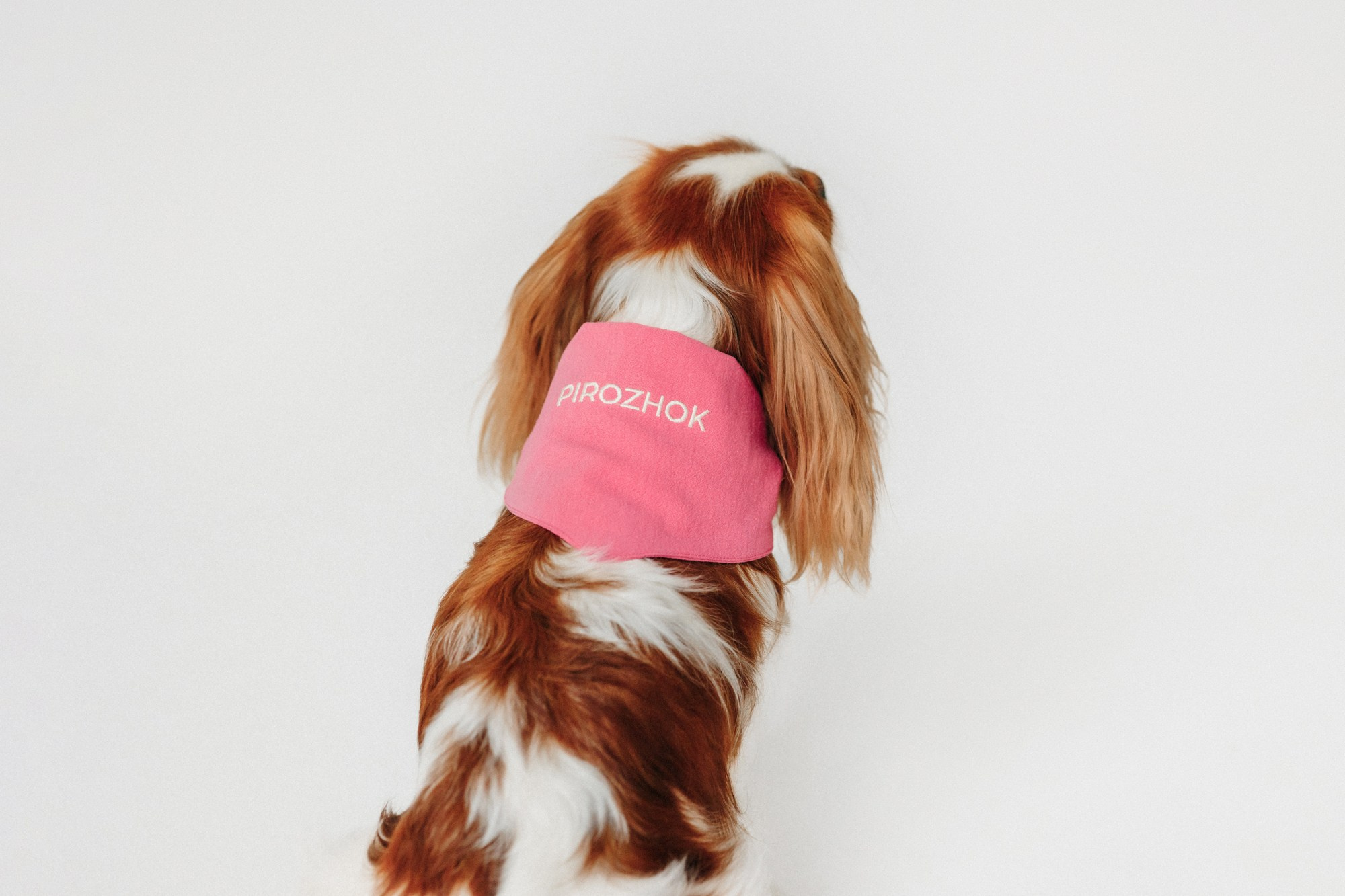 Одежда Lapa`s brand. Фотограф-анималист Елена Радченко, Москва