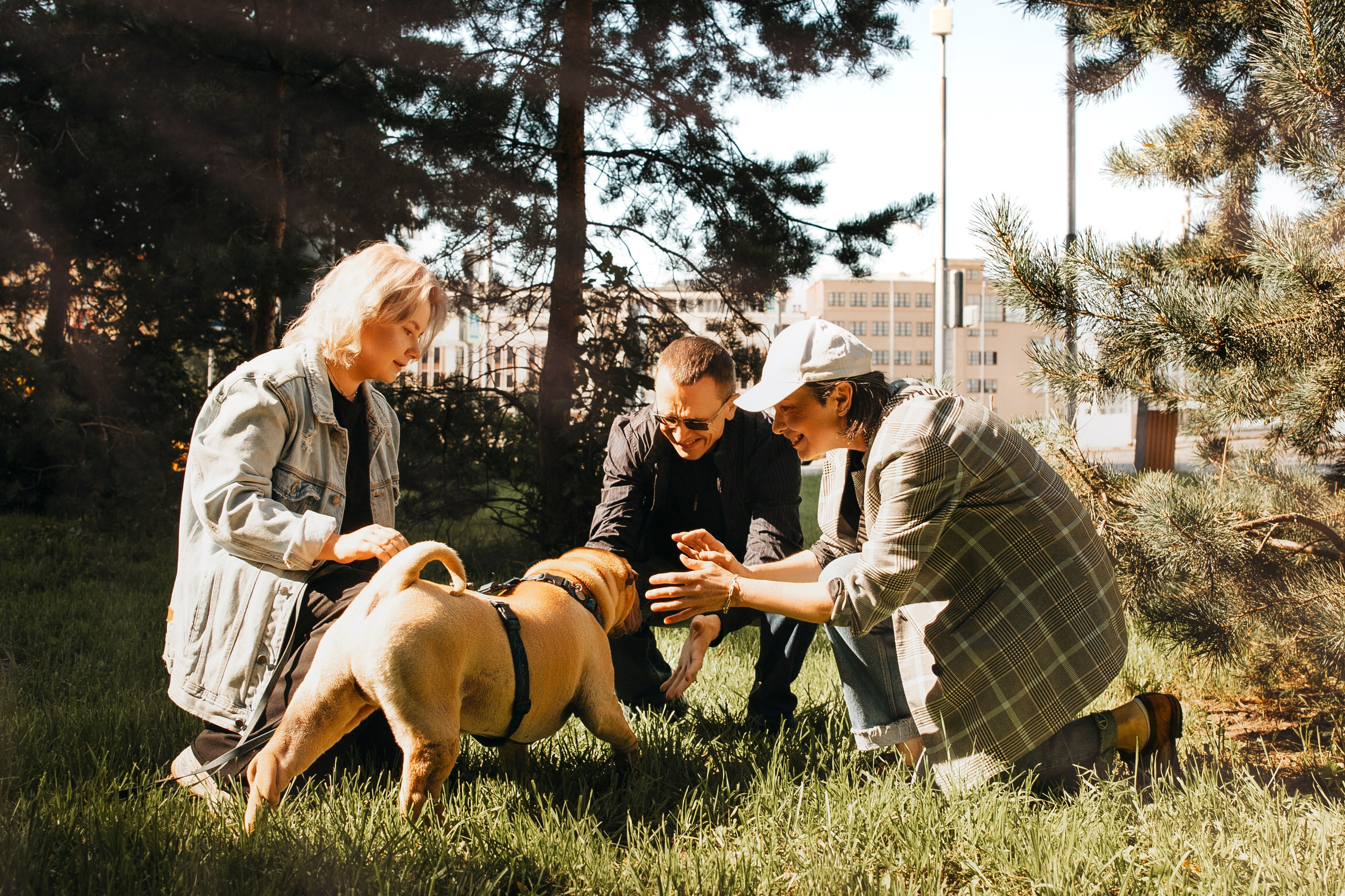 Аппа и его семья. Анастасия Белаш
