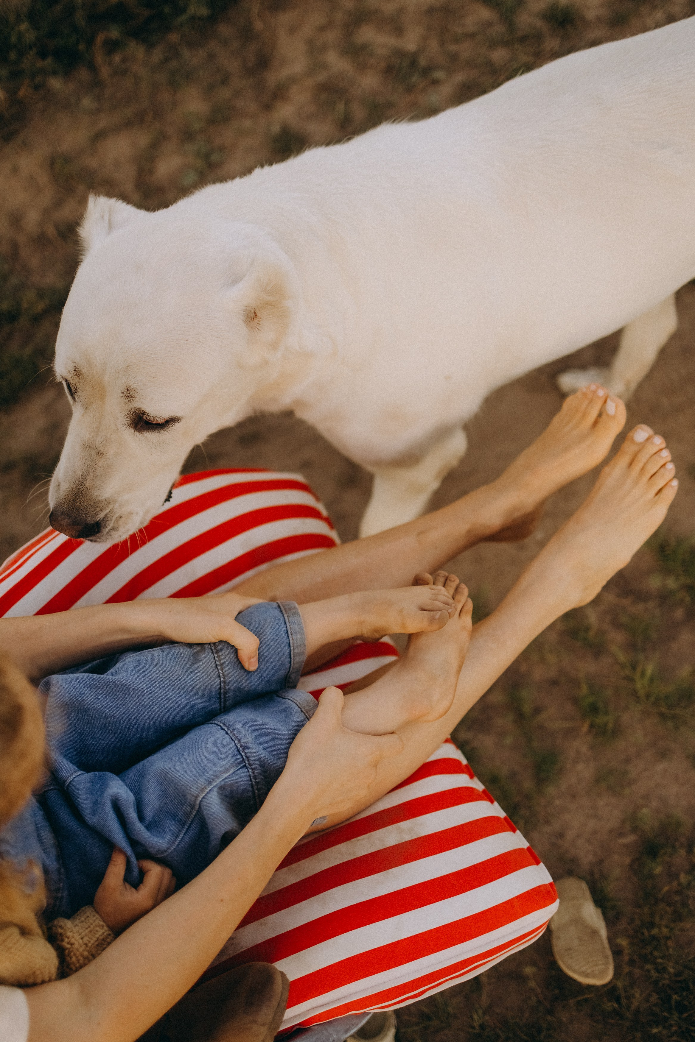 Алена, Еся, Агния. Главная