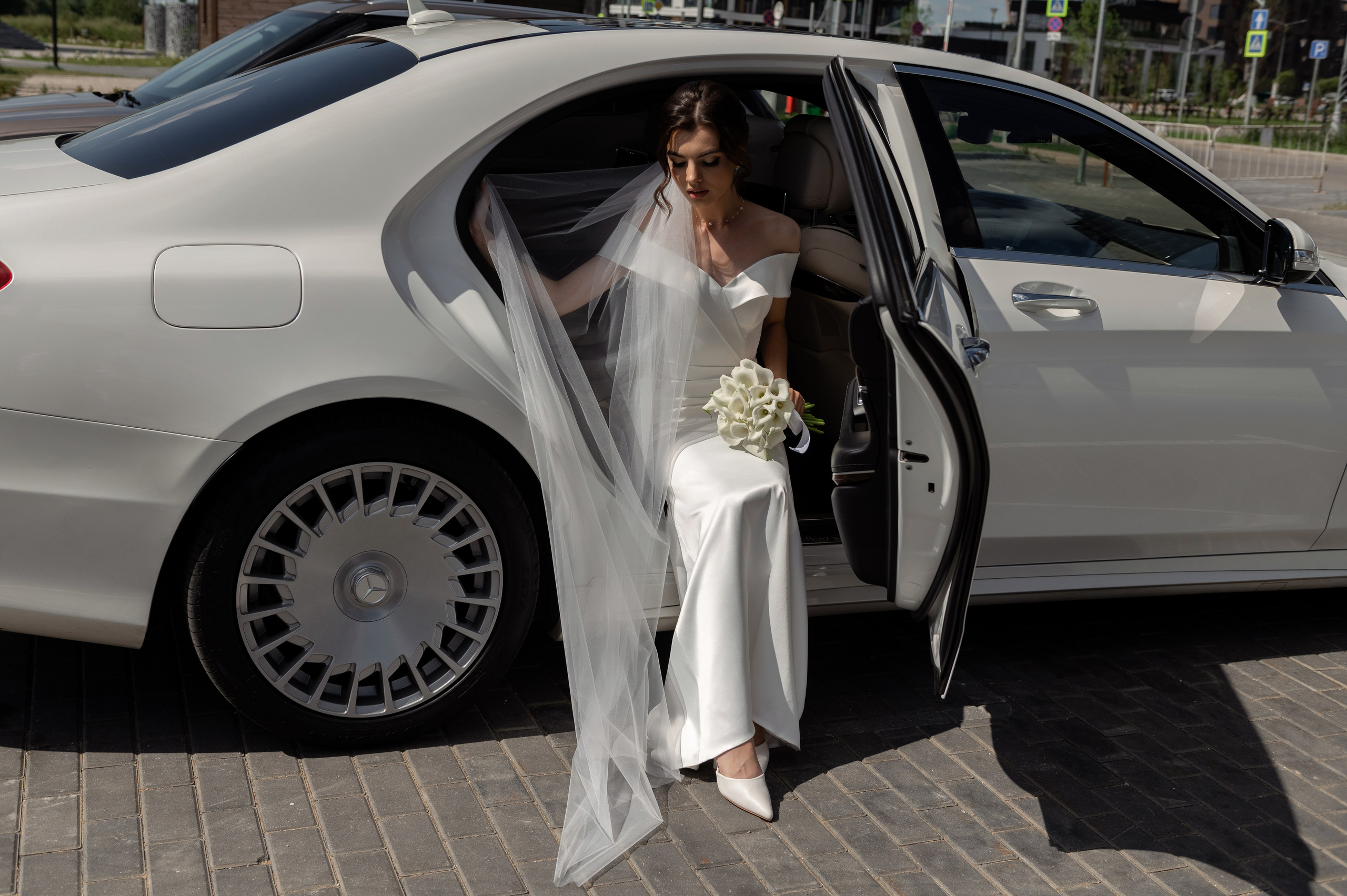 Владимир и София. Свадебный фотограф в Белгороде Владимир Золотарев