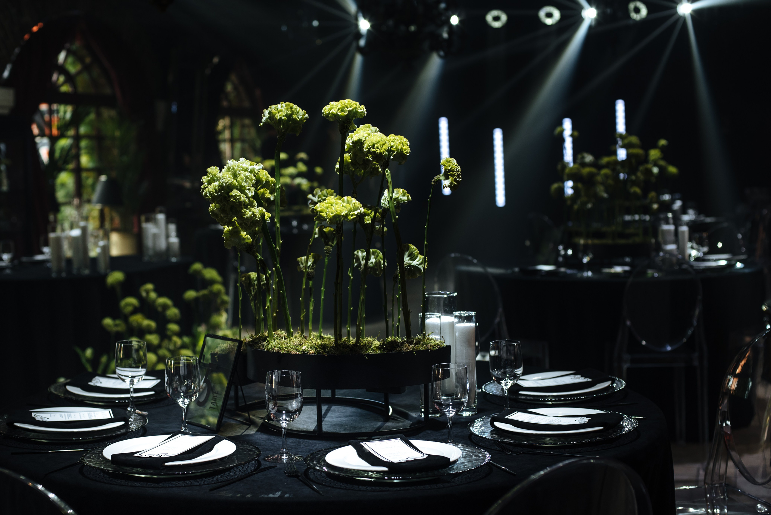 Мила и Жора. Главная