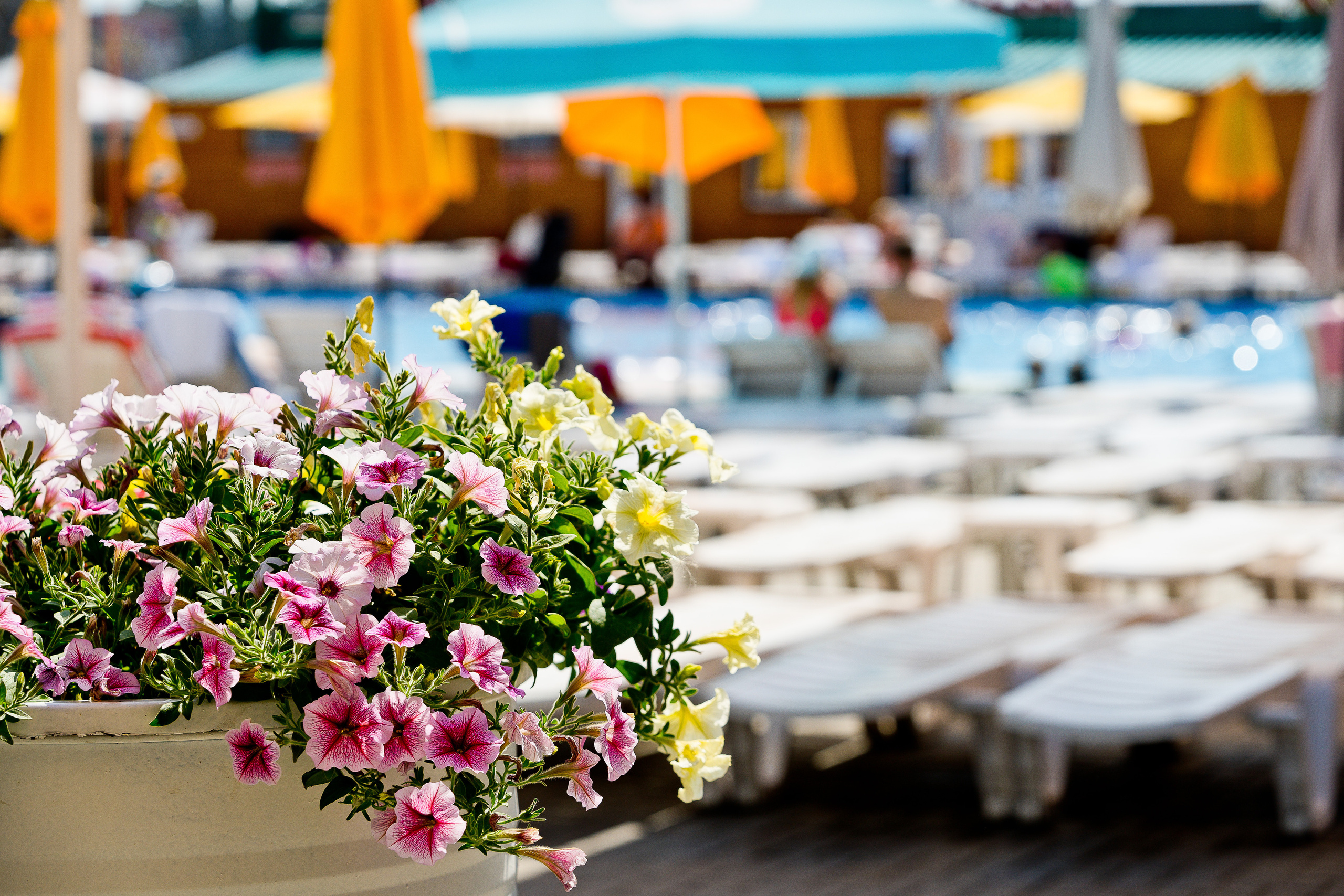 Интерьерная съемка. Фуд фото для вас и вашего бизнеса