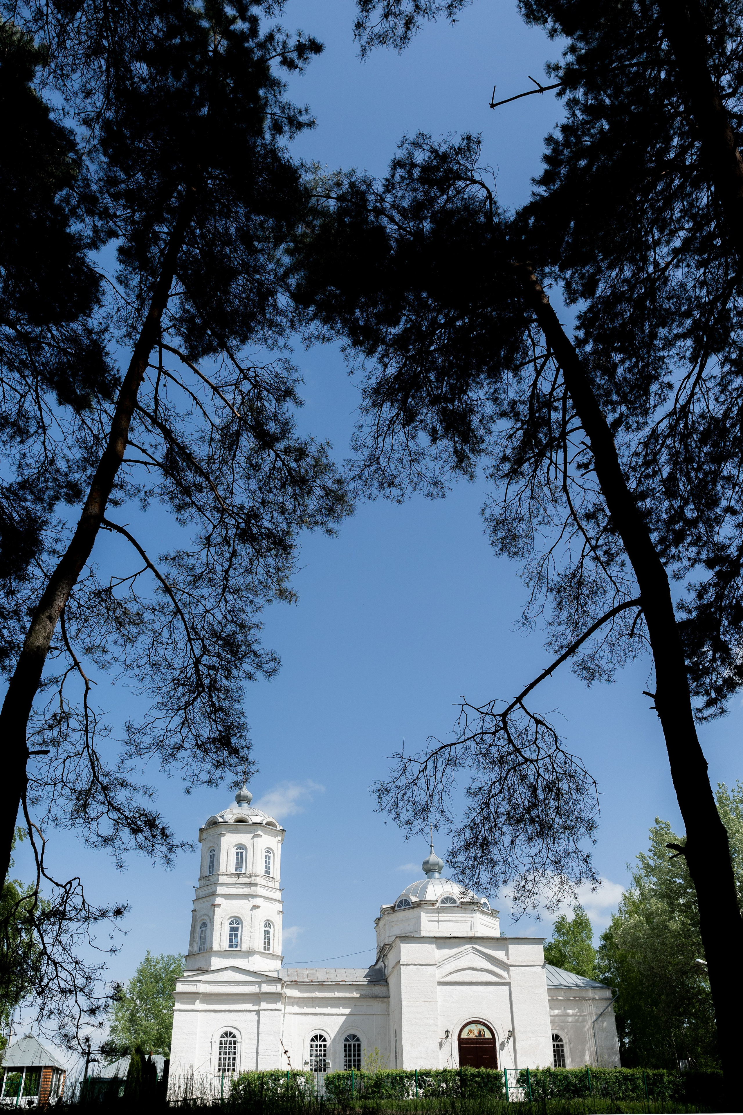 Таинство крещения в Чернянке с. Раевка. Фотограф Максим Никонов