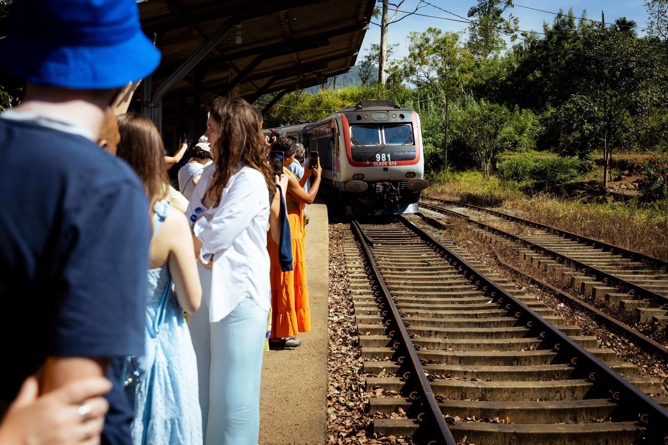 Шри-Ланка (весна 2024). Фотограф Виноградов Константин