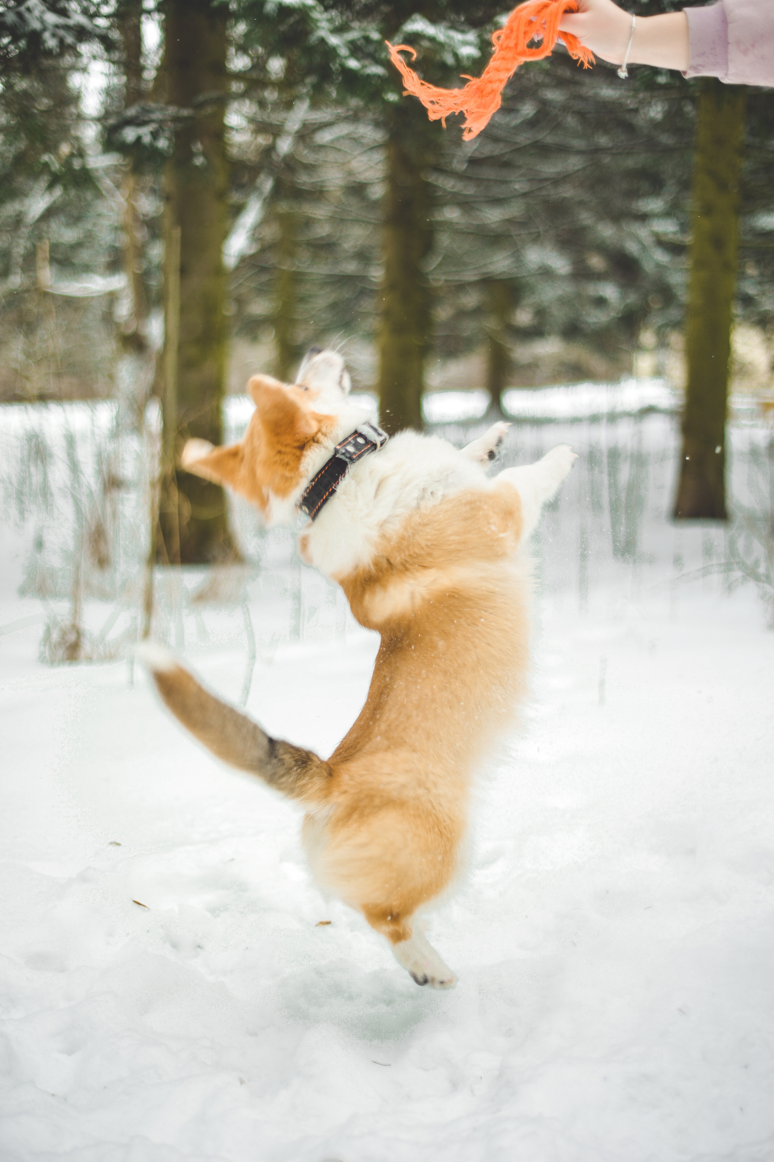 Александра. Фотограф в Санкт-Петербурге Катя Прудникова