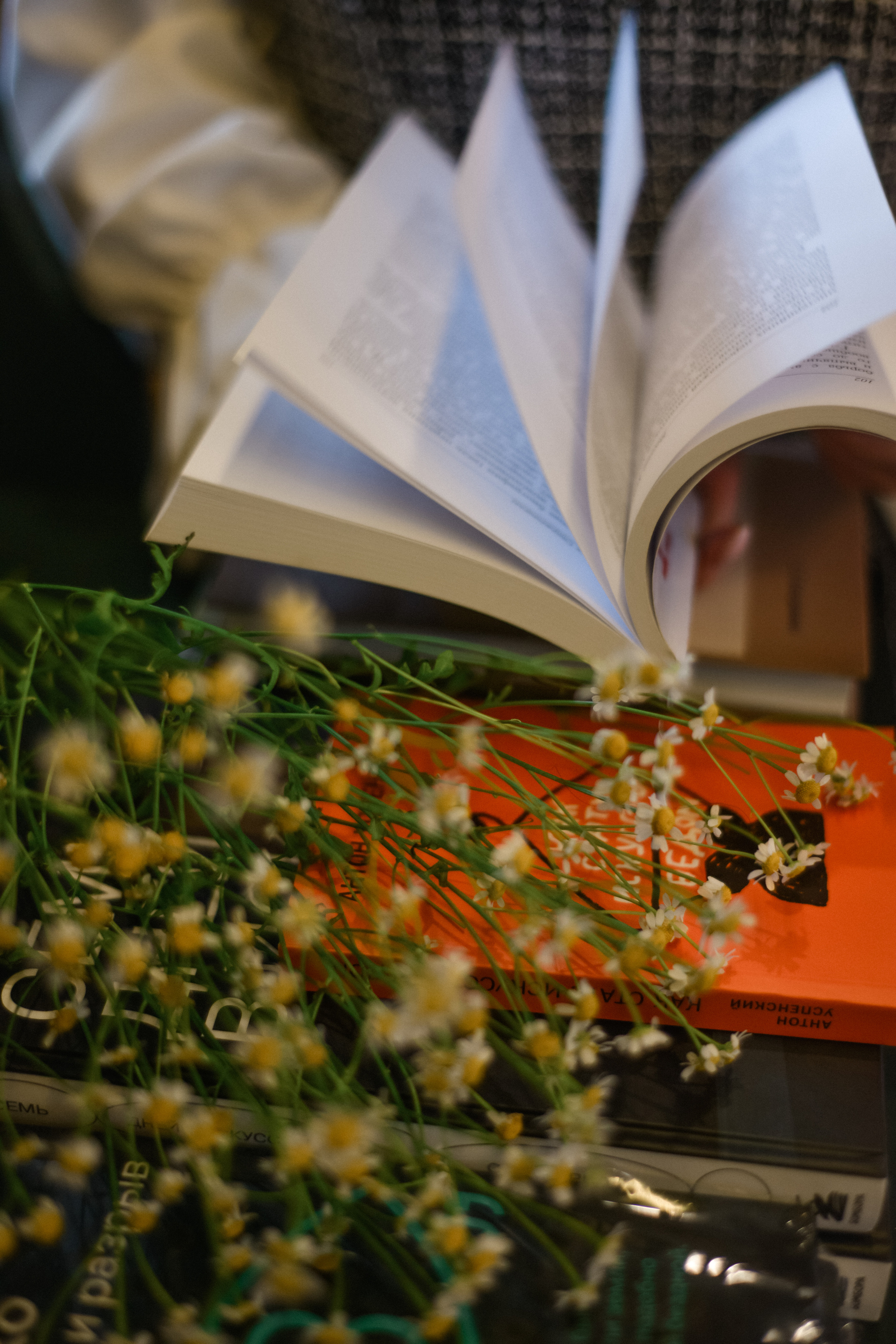 Мария. Фотограф в Санкт-Петербурге Катя Прудникова