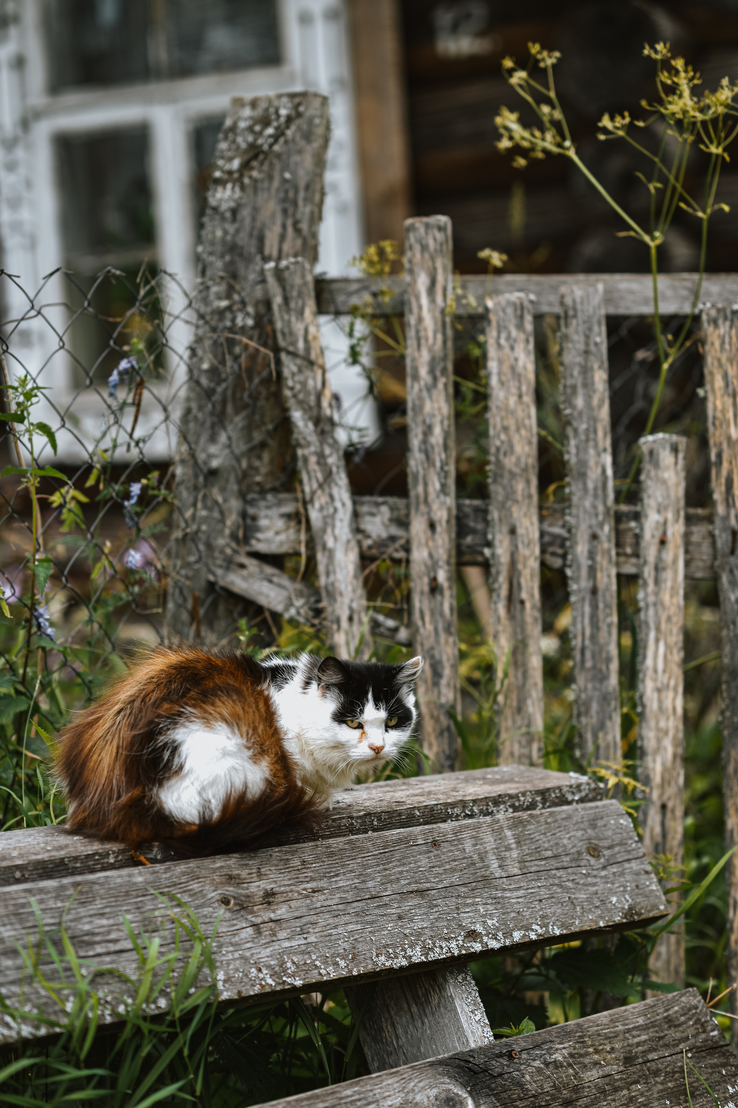 Арсений. Фотограф в Санкт-Петербурге Катя Прудникова