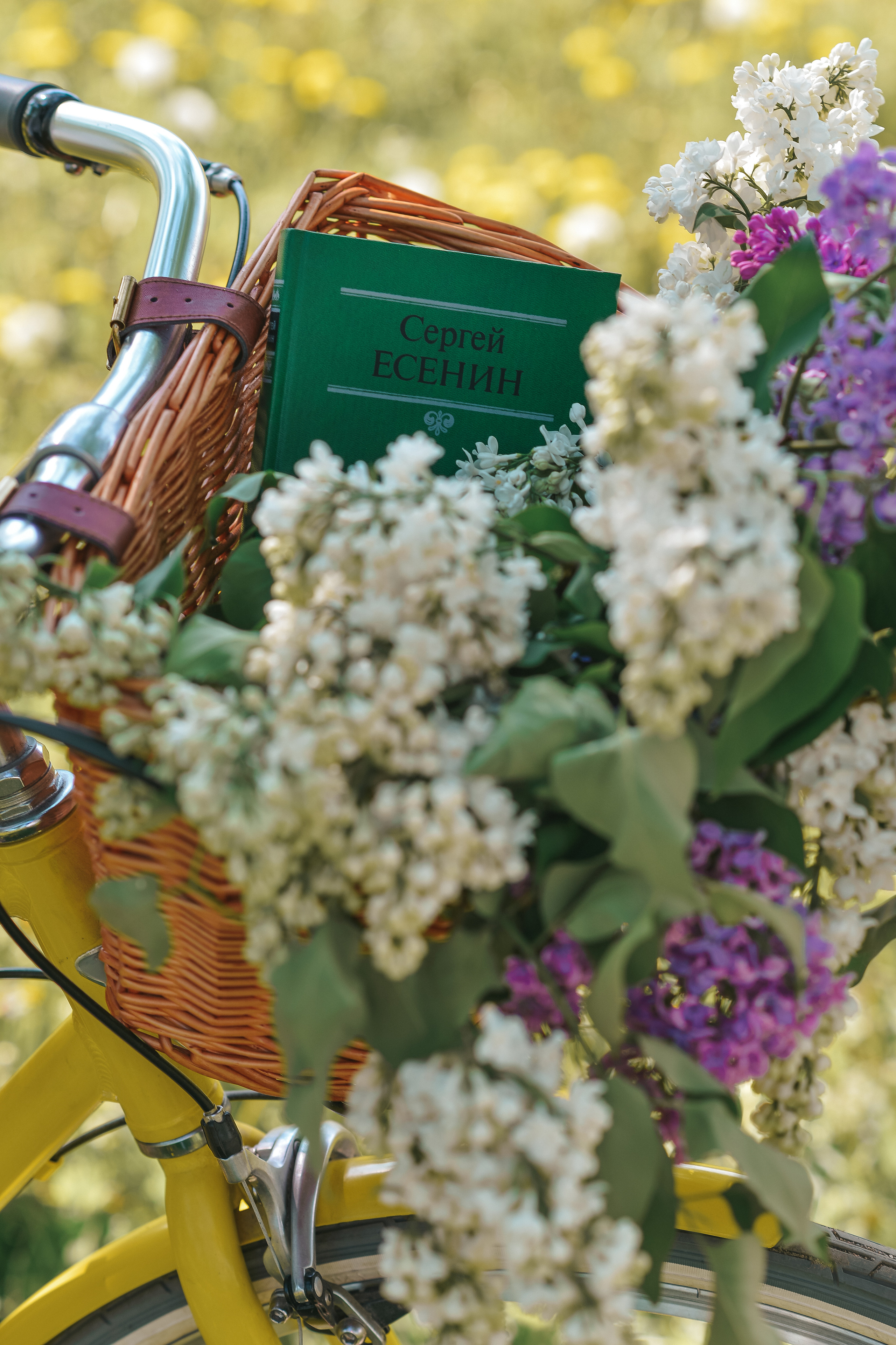 Элина. Фотограф в Санкт-Петербурге Катя Прудникова