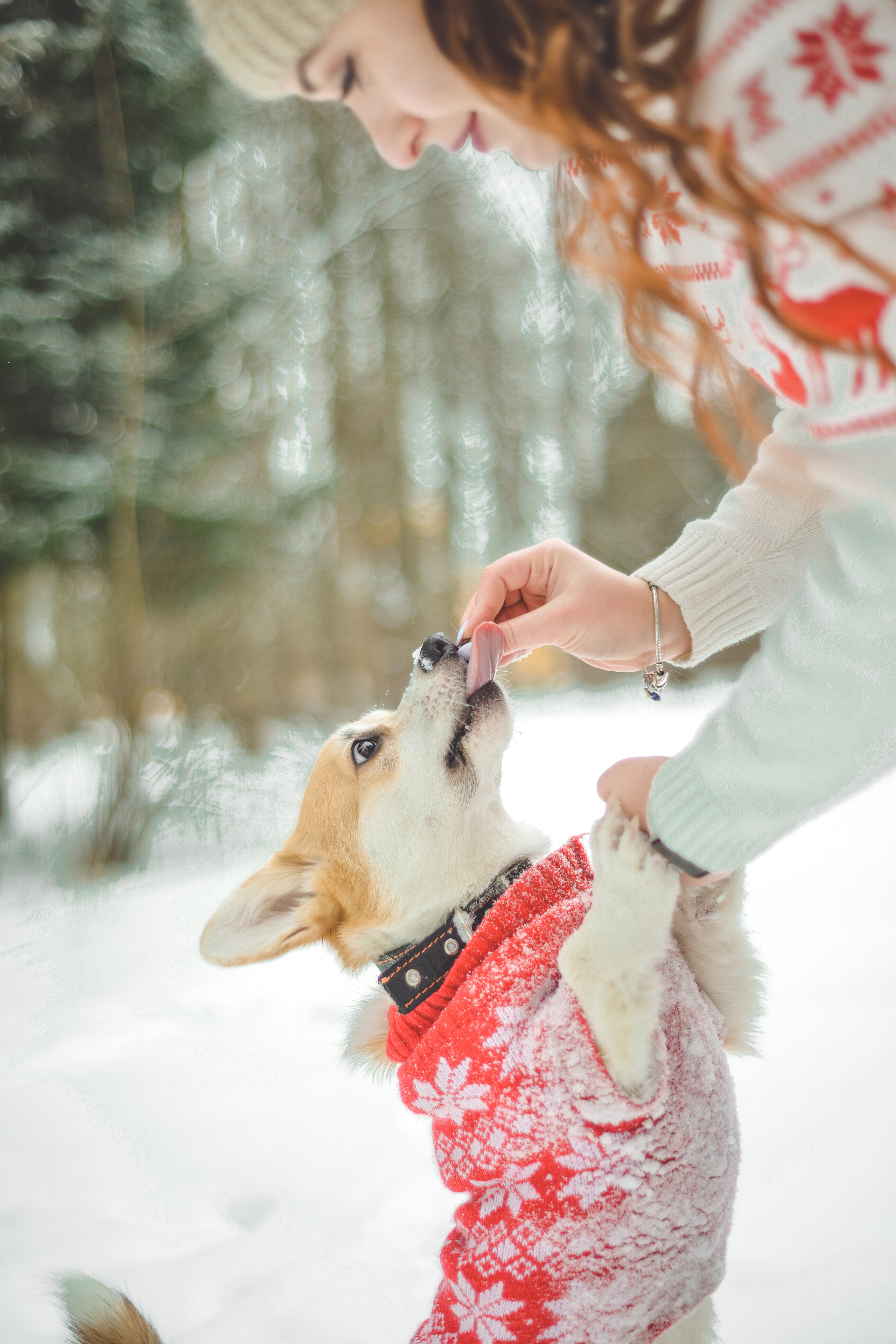 Александра. Фотограф в Санкт-Петербурге Катя Прудникова