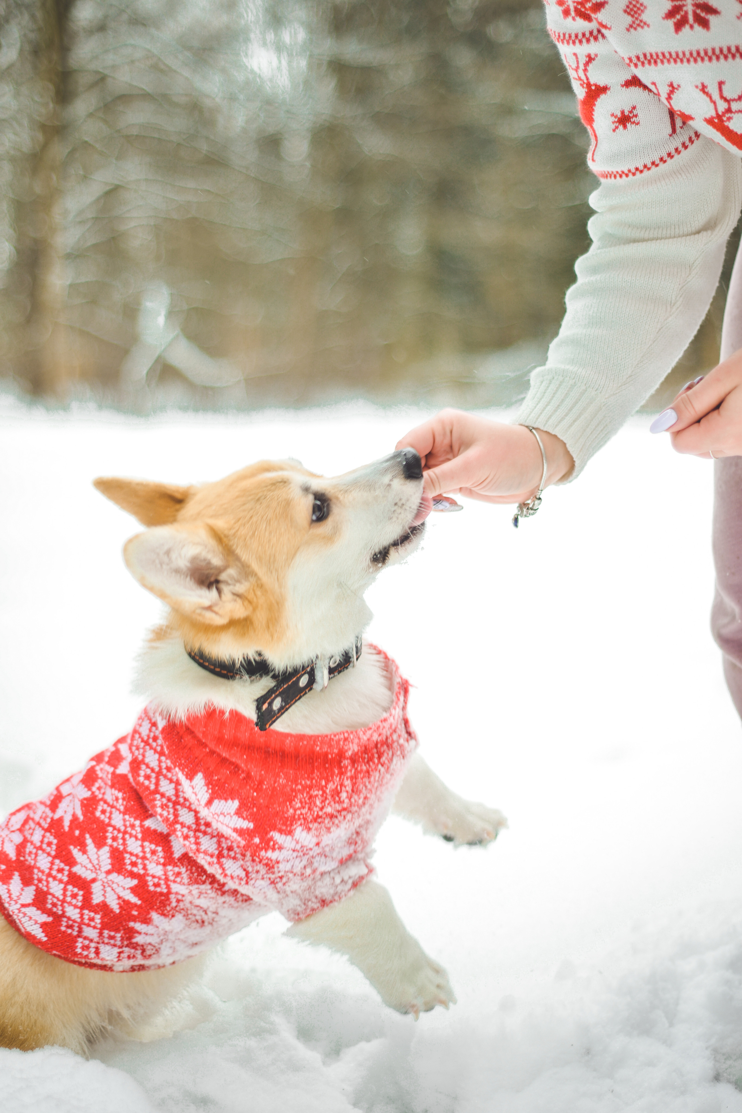 Александра. Фотограф в Санкт-Петербурге Катя Прудникова