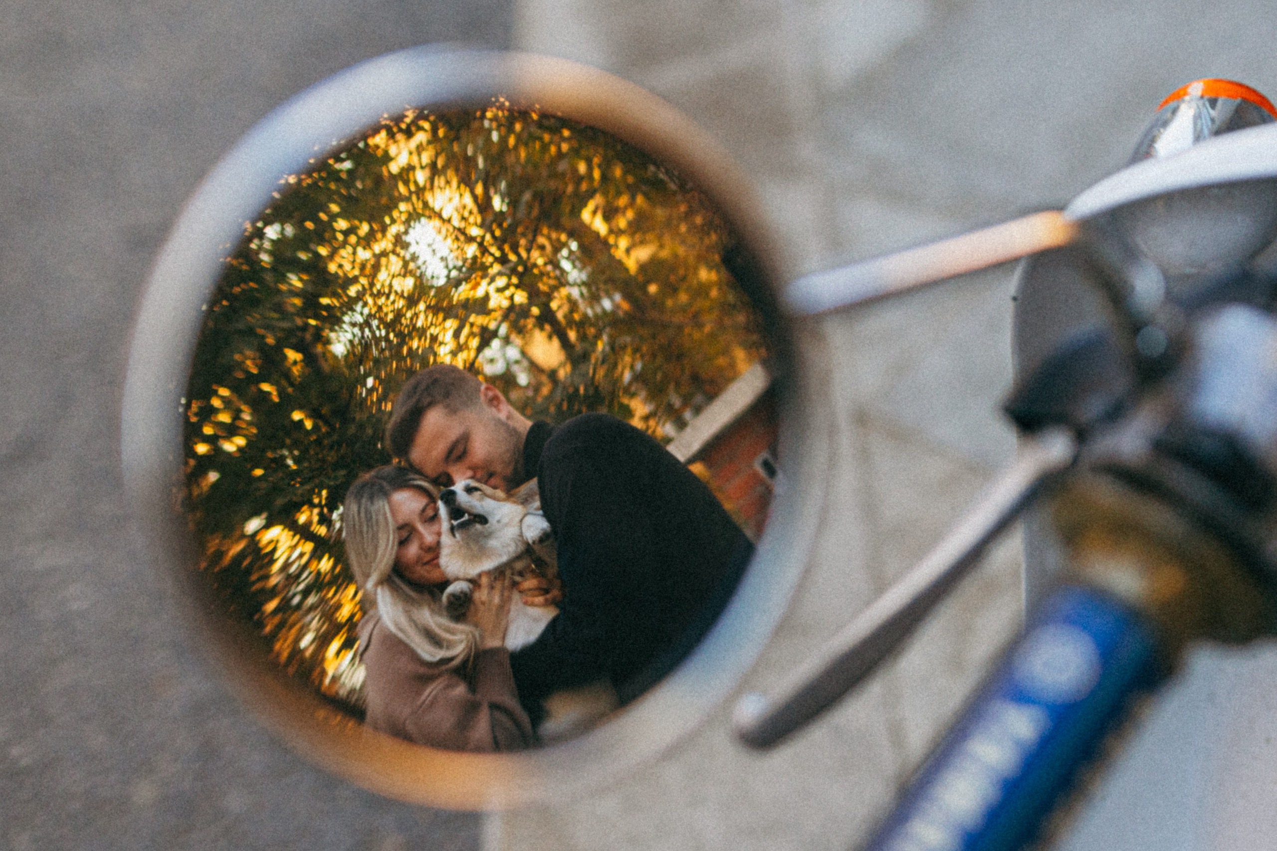 Даша, Рома и Лесли. Фотораф — анималист Мария Шистка