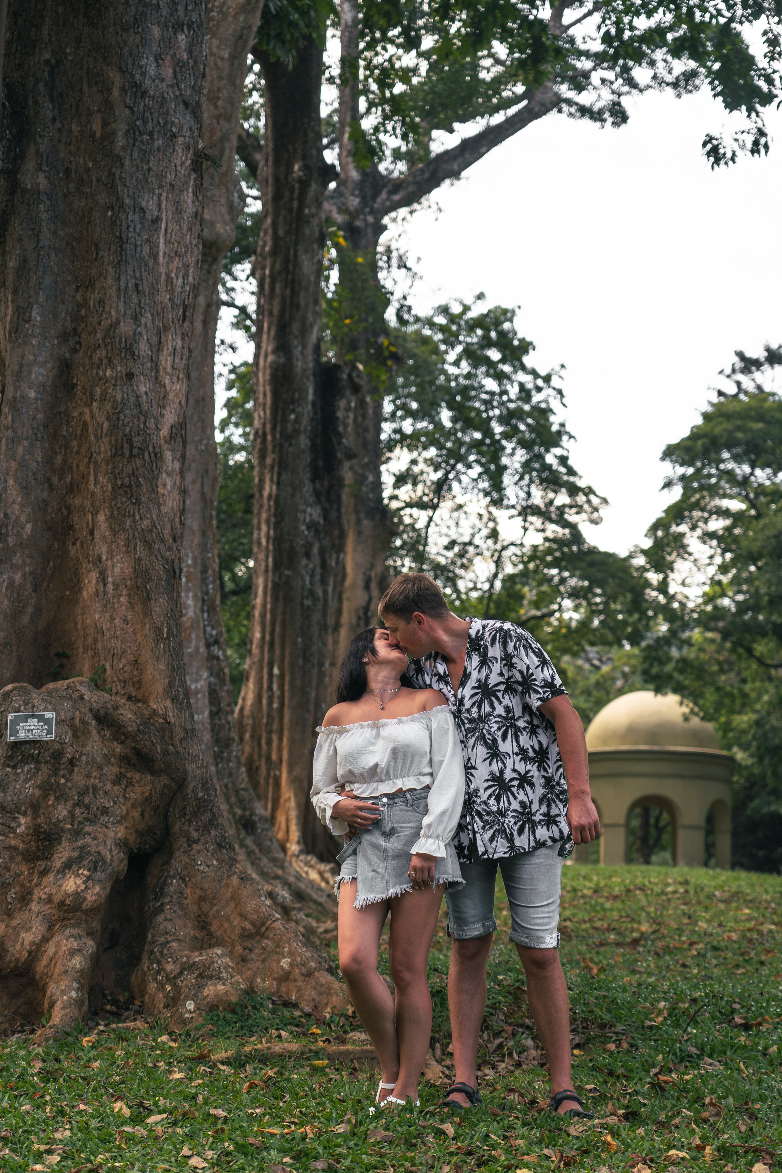 Bathing with elephants in Pinnawala, Botanical Garden