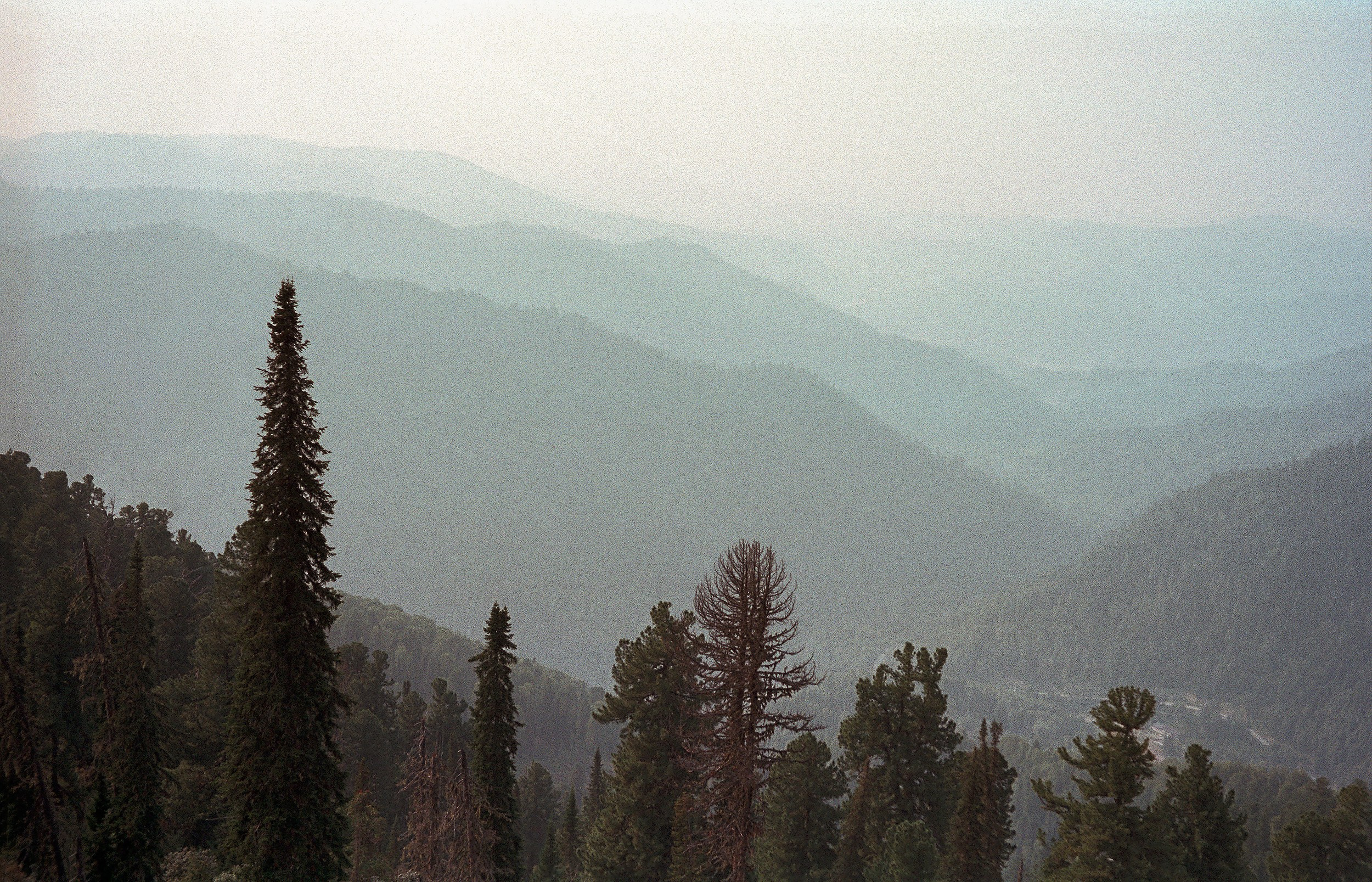 Пейзажные фотографии Алтая. Портретный и репортажный фотограф. Мыльников Илья