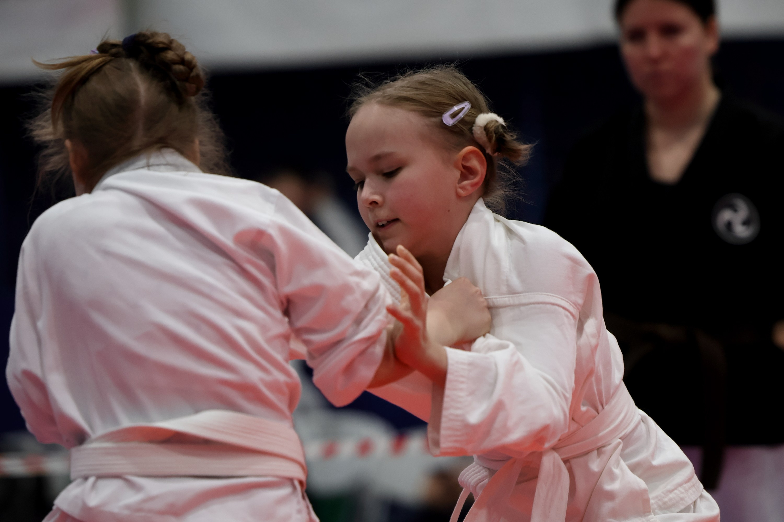 Чемпионат по Окинава Каратэ (Тэгуми). Спортивный и репортажный фотограф Ермакова Светлана