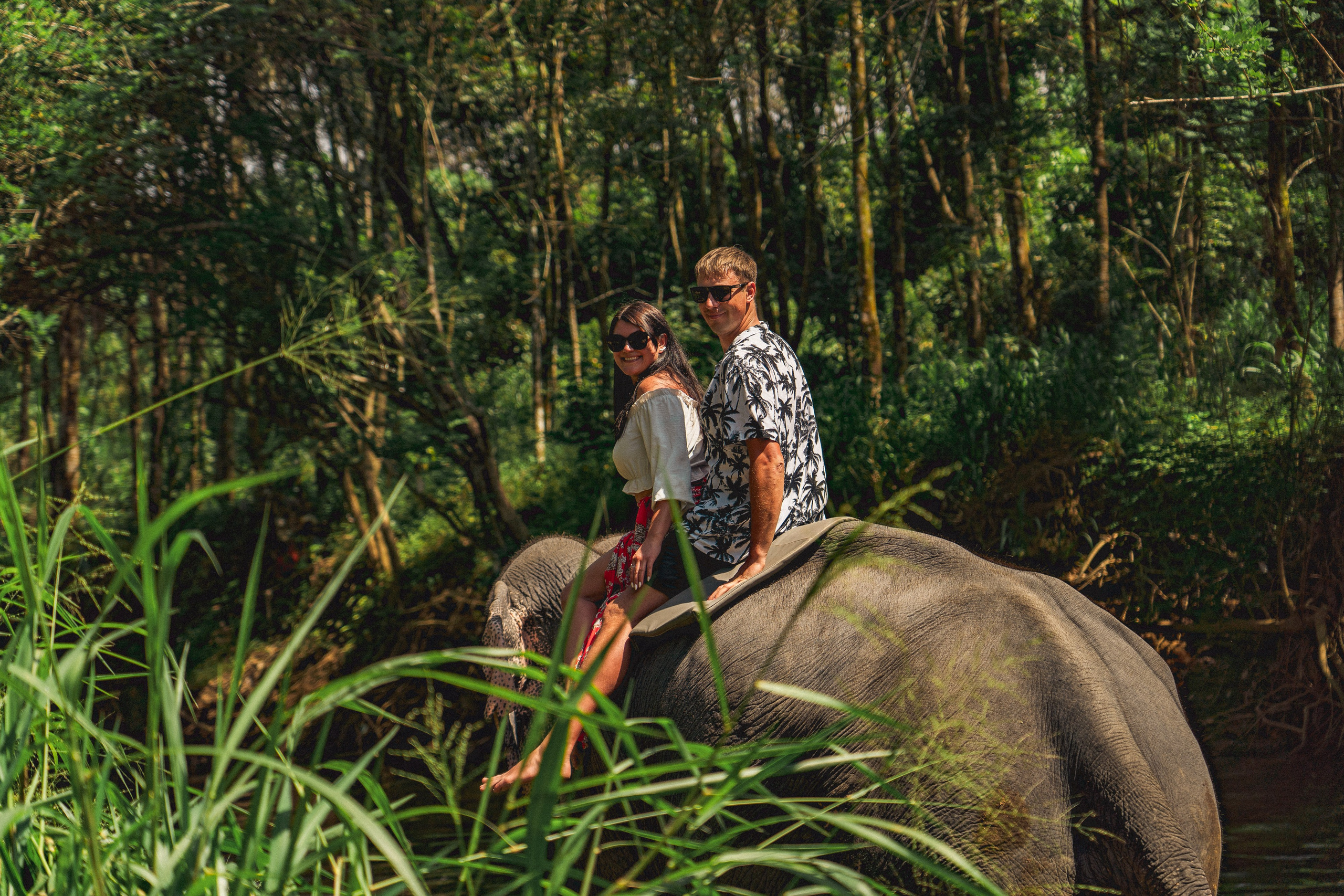 Bathing with elephants in Pinnawala, Botanical Garden