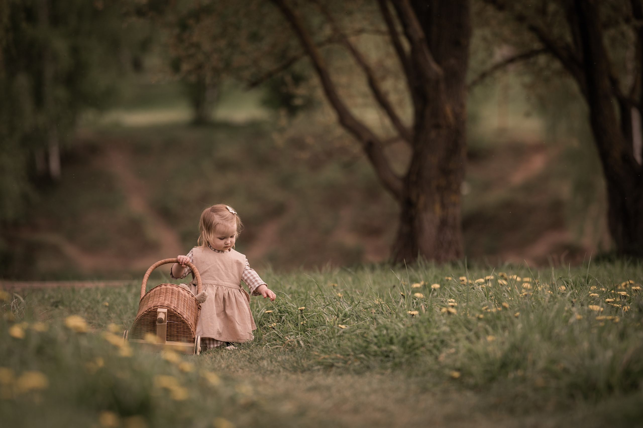 Май. Семейный фотограф Ефремова Виктория