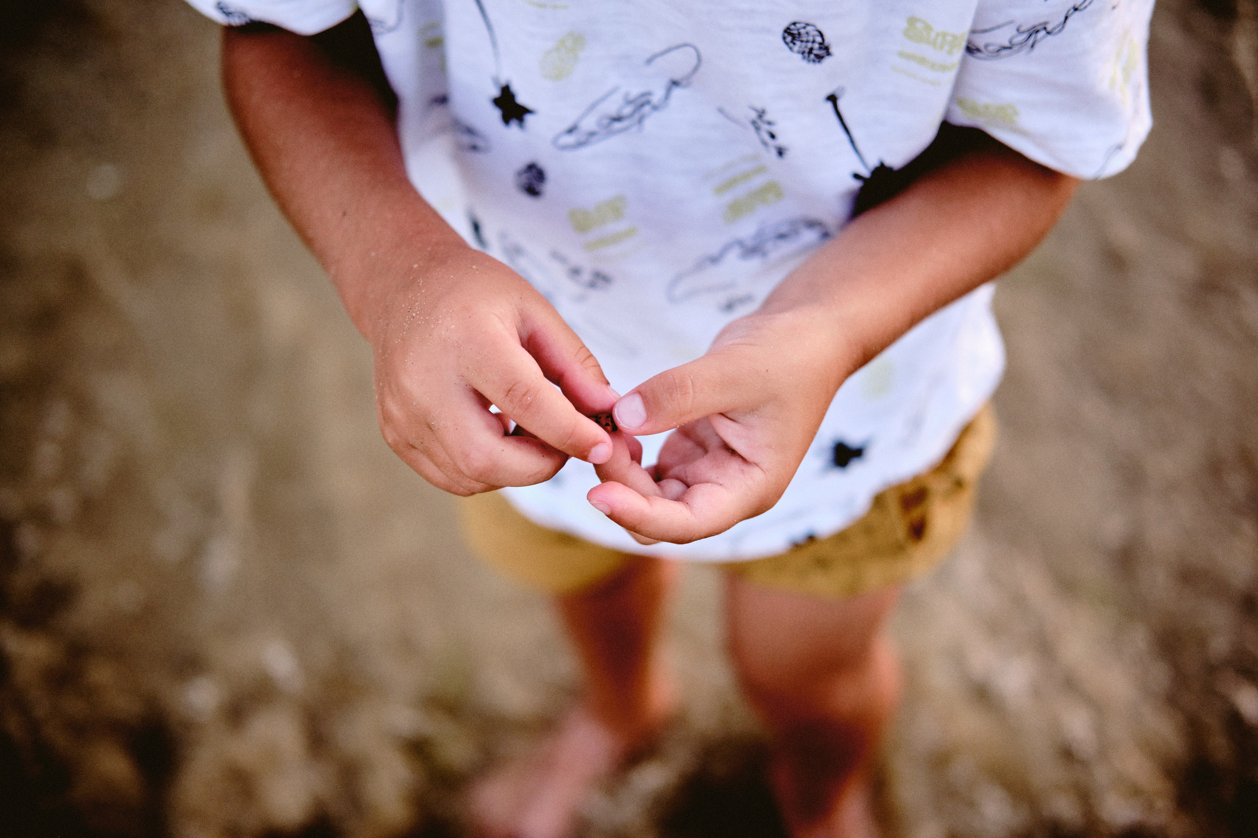 Дюны. Фотограф в Анапе и Краснодаре Тина