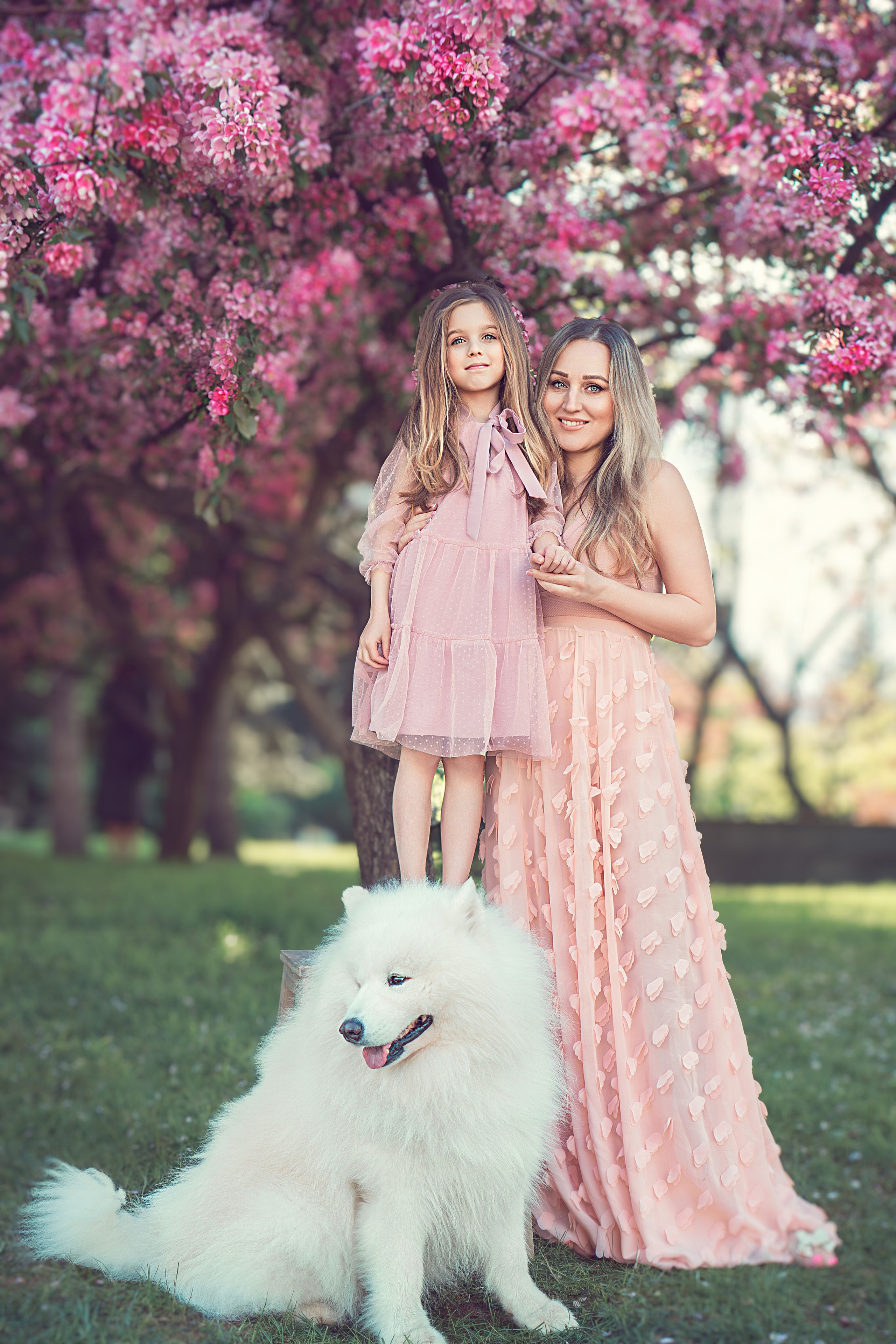 Фотосессия с собаками