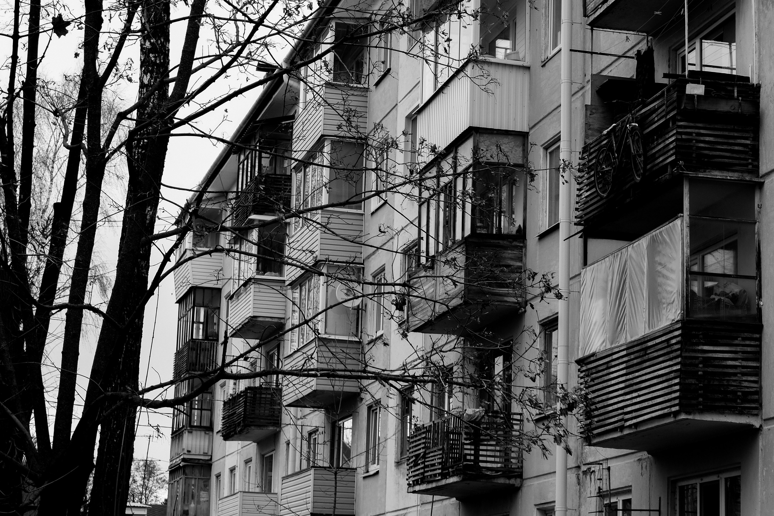 ЧБ. Художественный фотограф в Калуге