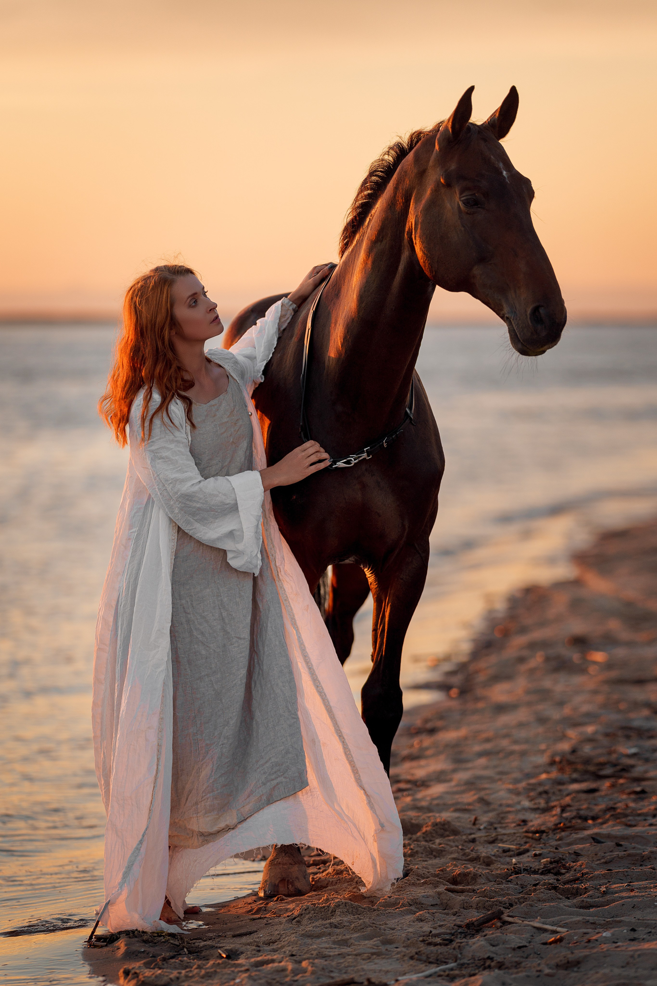 Фотосессии с лошадьми. Фотограф Артемьева Катерина|фотосессии с лошадьми