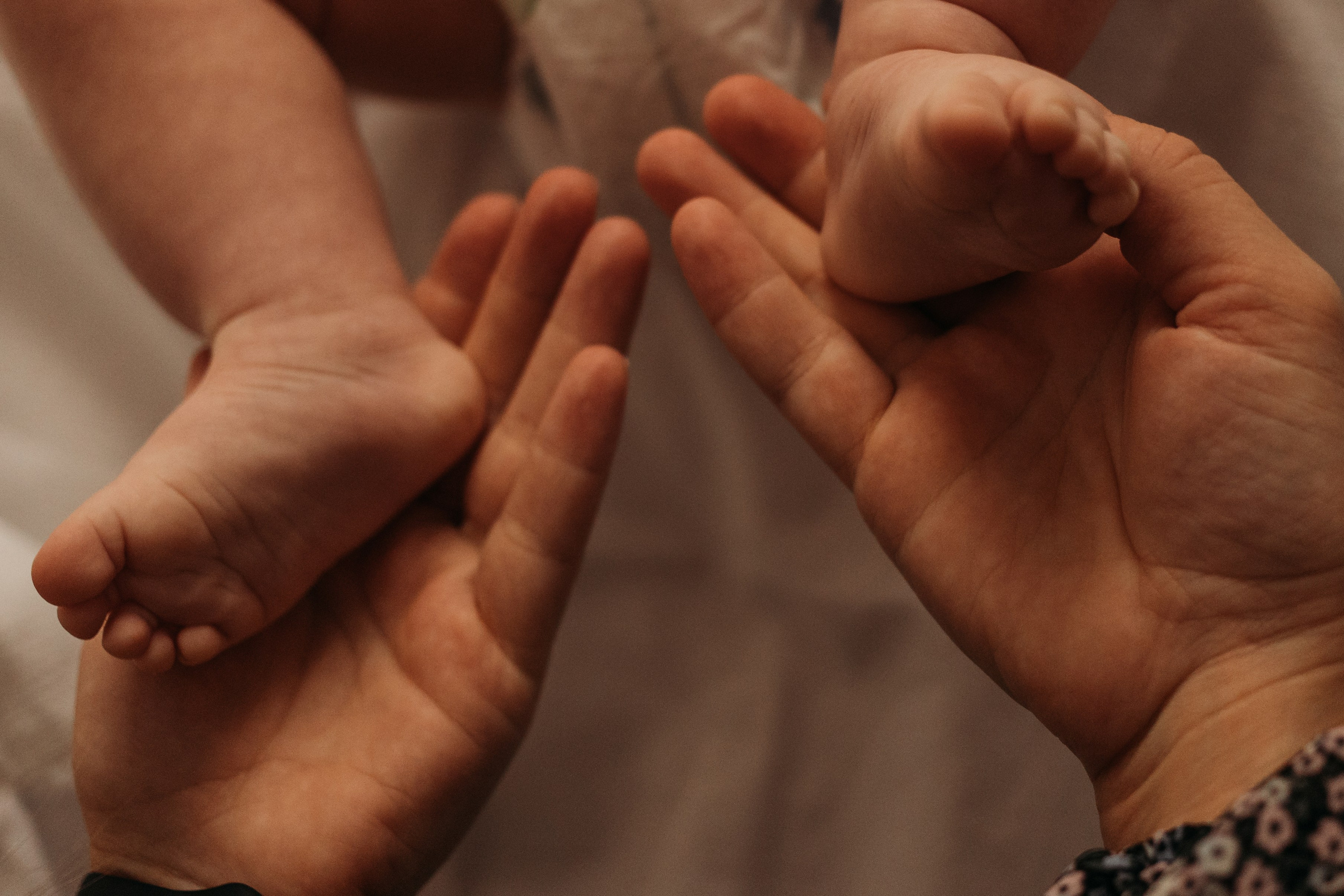 Домашняя съемка — Антонине 4 месяца. Фотограф Алена Свинаренко