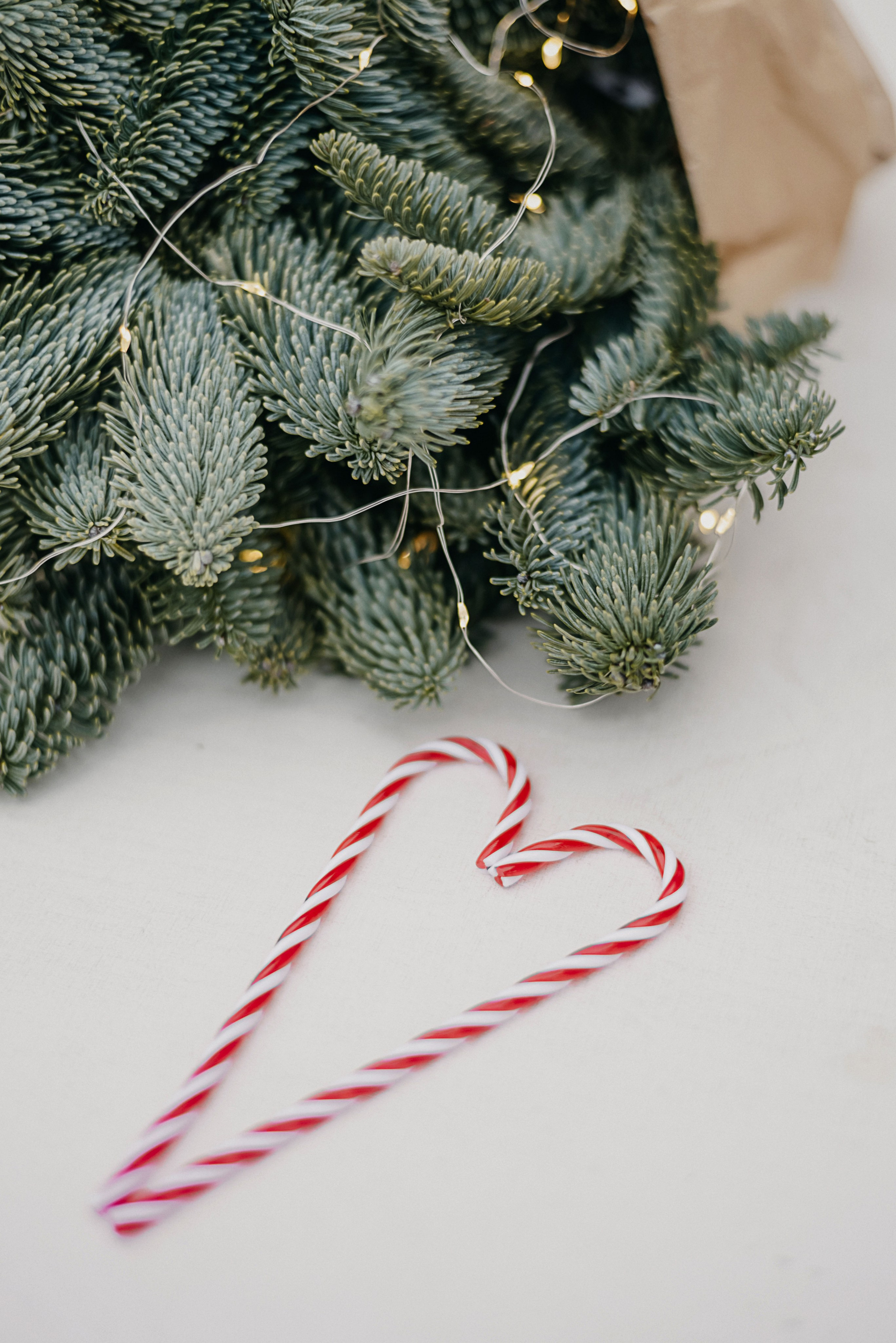 Ожидание праздника. Семейный и детский фотограф в Москве и Подмосковье Ксения Черникова