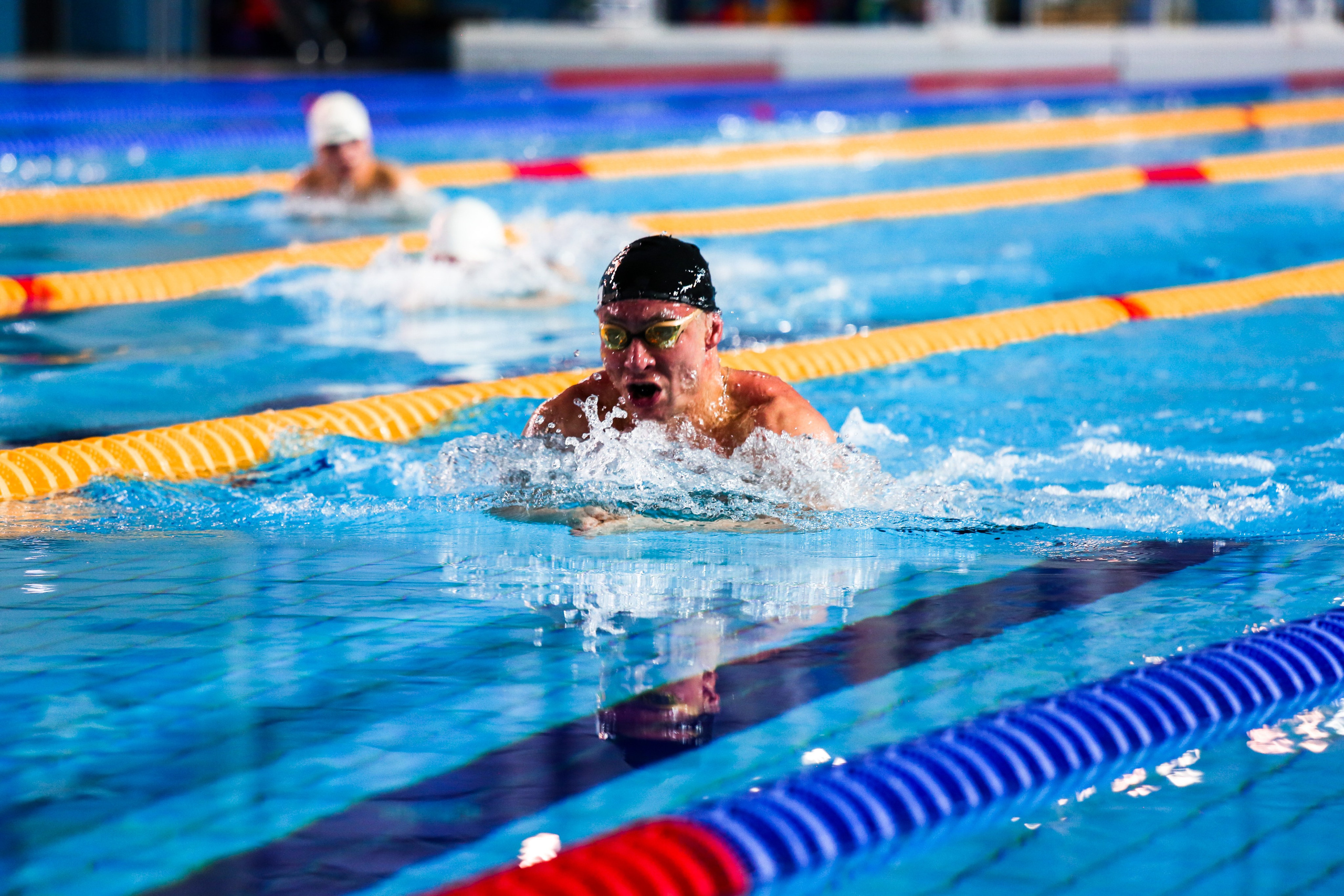 Соревнования по плаванию. Репортажный, семейный, свадебный, портретный фотограф